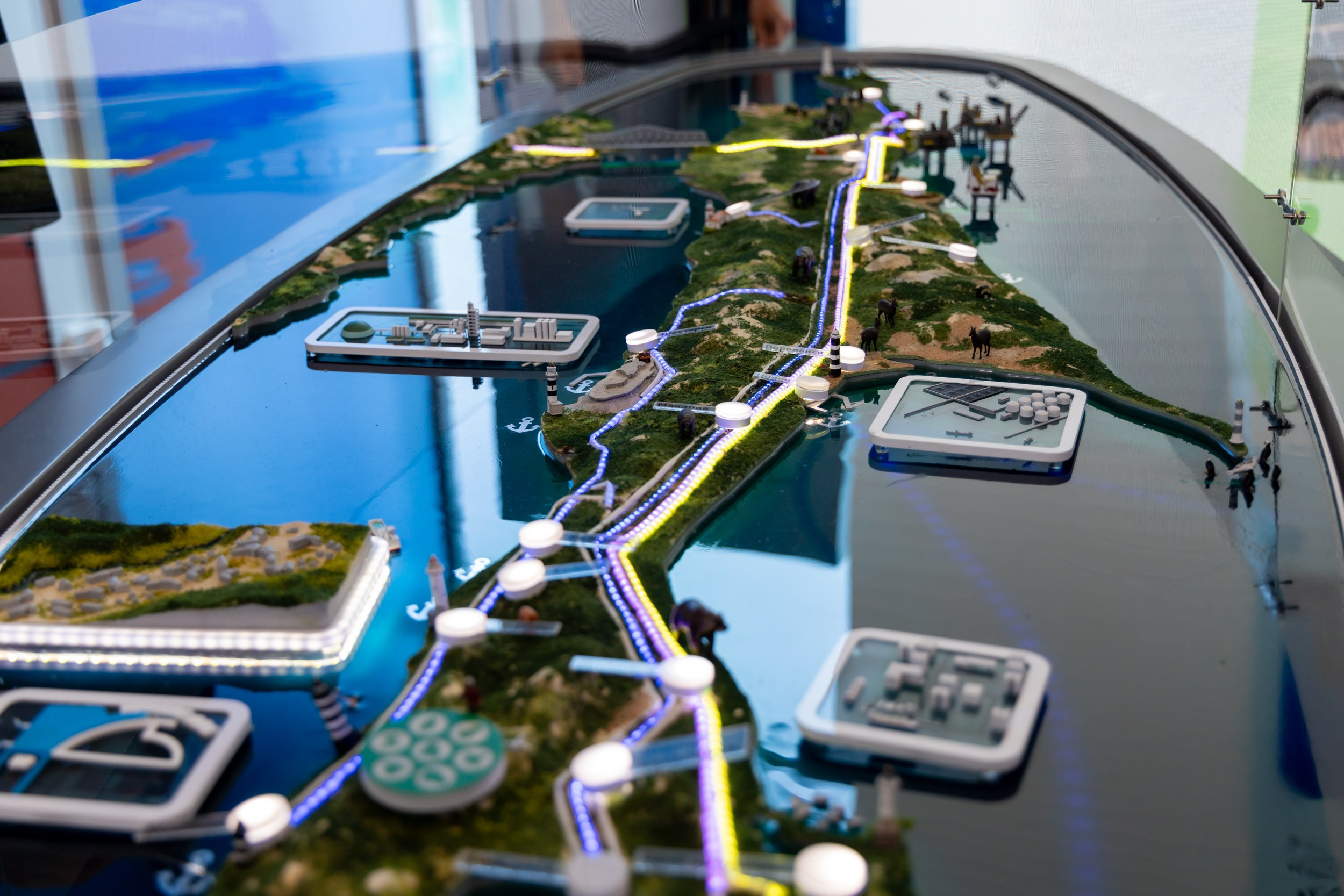 ВЭФ 2024. Репортажный и студийный фотограф во Владивостоке Дударева Софья