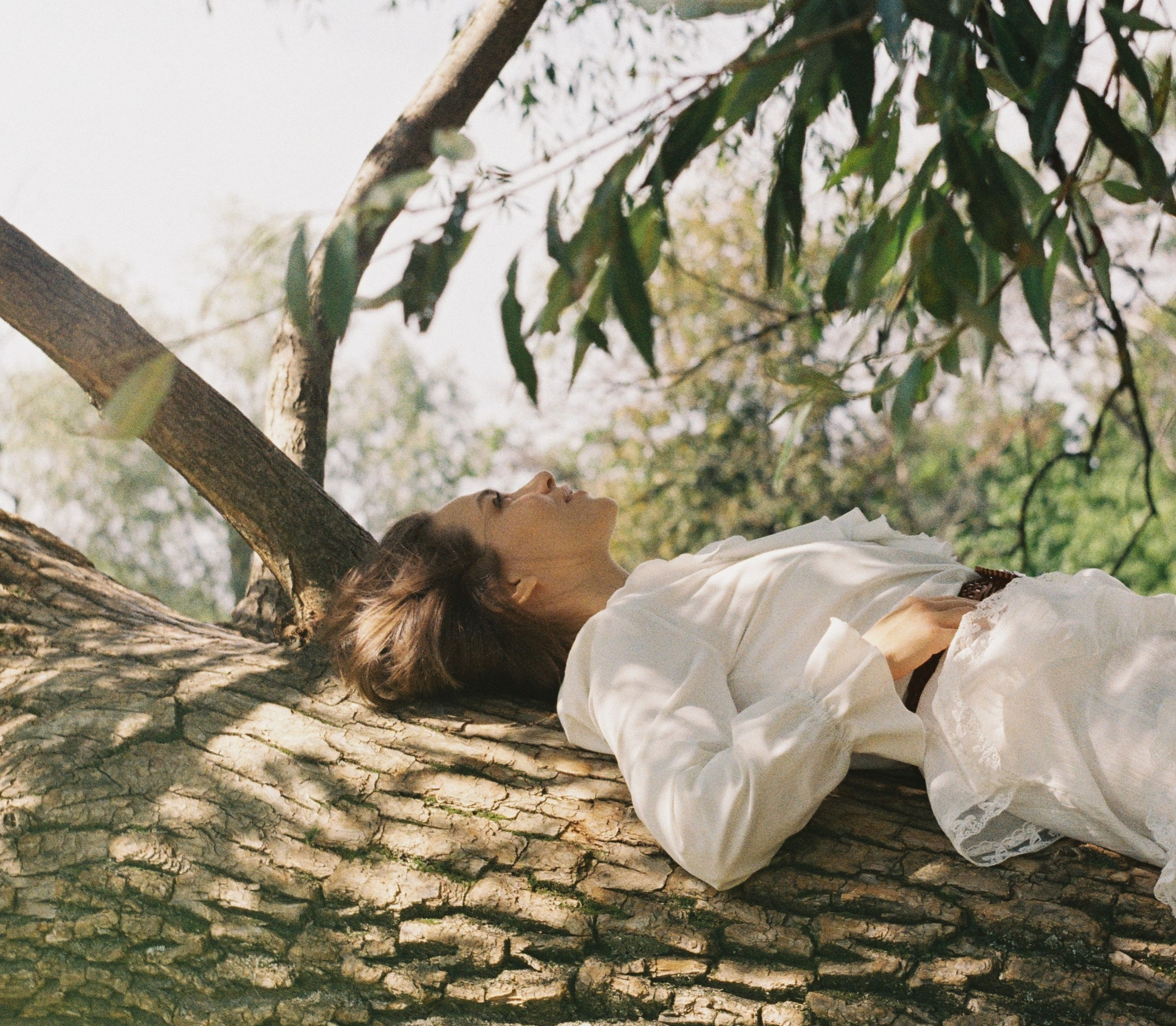 DREAM OF SUMMER. Любовь Моргасова [LU SPRING]: Фотограф и куратор