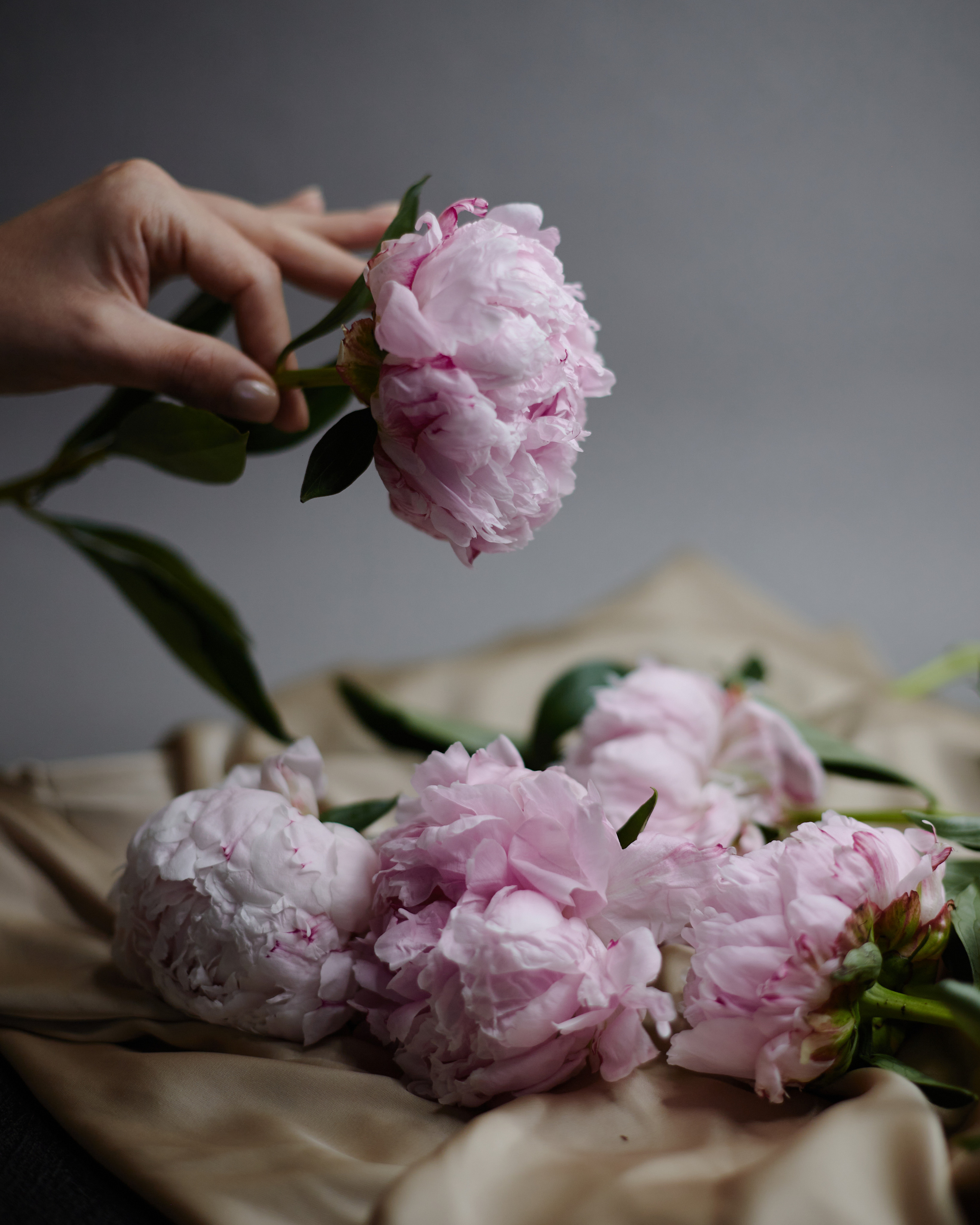 LEYKA. Визуальный продюсер и фотограф Екатерина Калинина. Город Челябинск