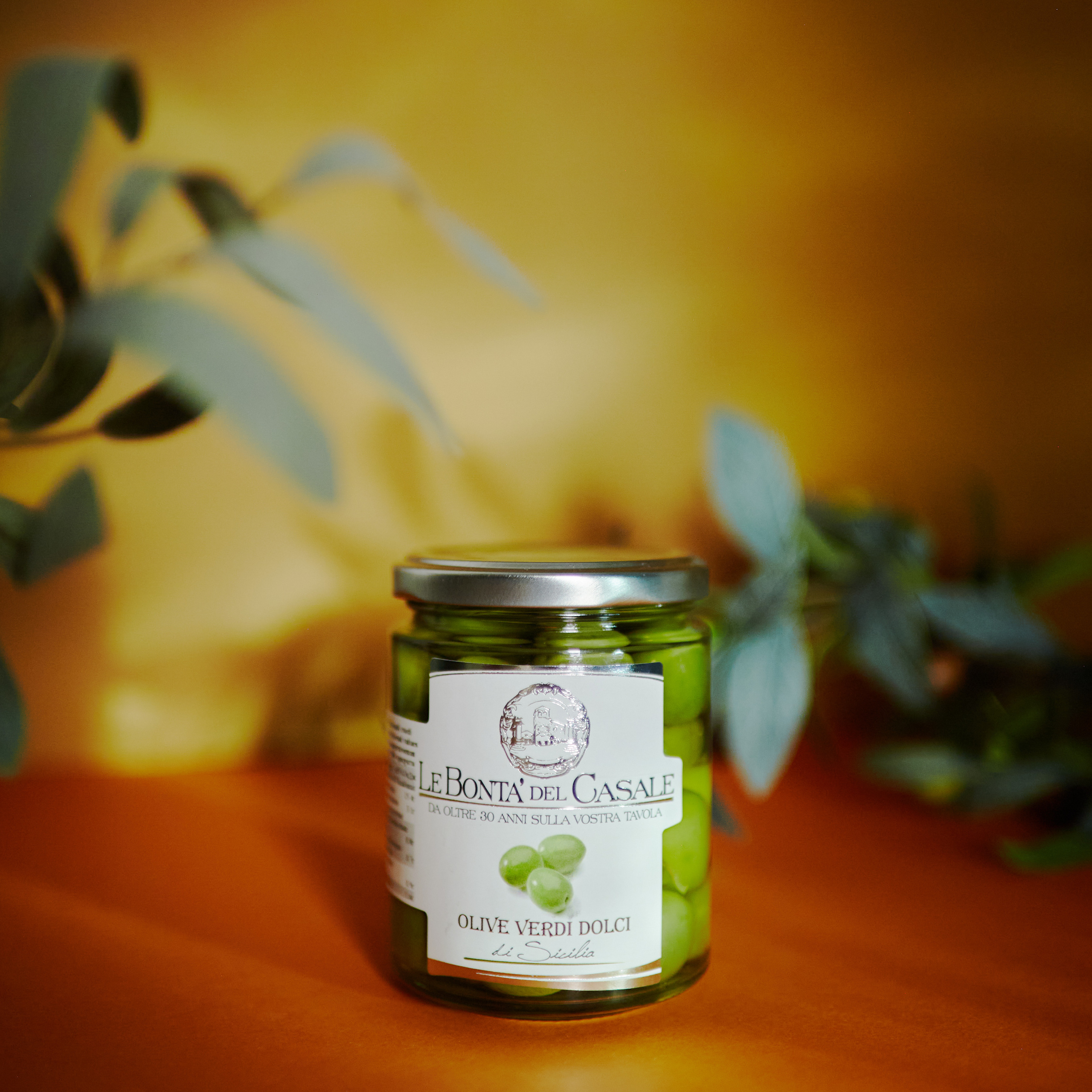 Oliva. Визуальный продюсер и фотограф Екатерина Калинина. Город Челябинск