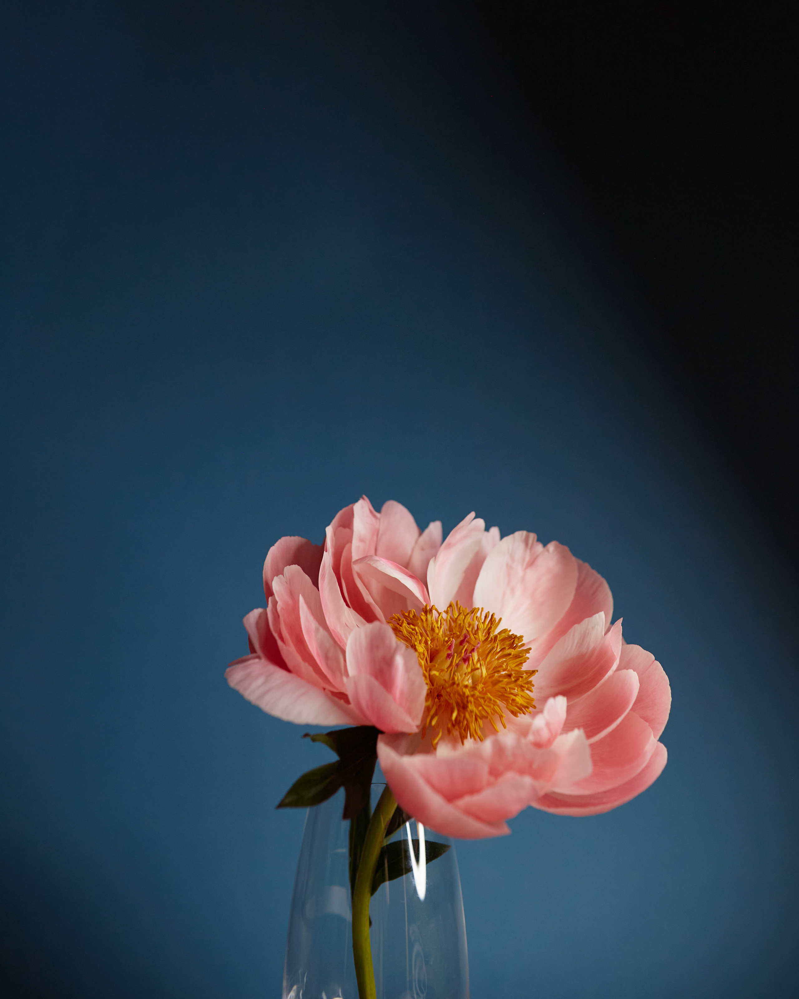 LEYKA. Визуальный продюсер и фотограф Екатерина Калинина. Город Челябинск