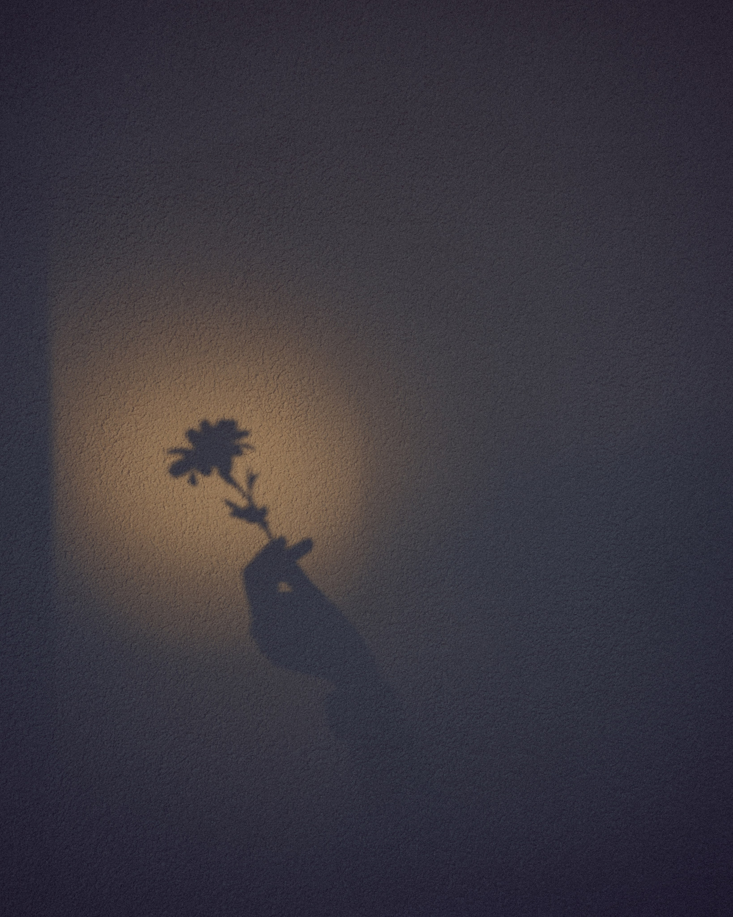 Дизайн квартиры: Фаина