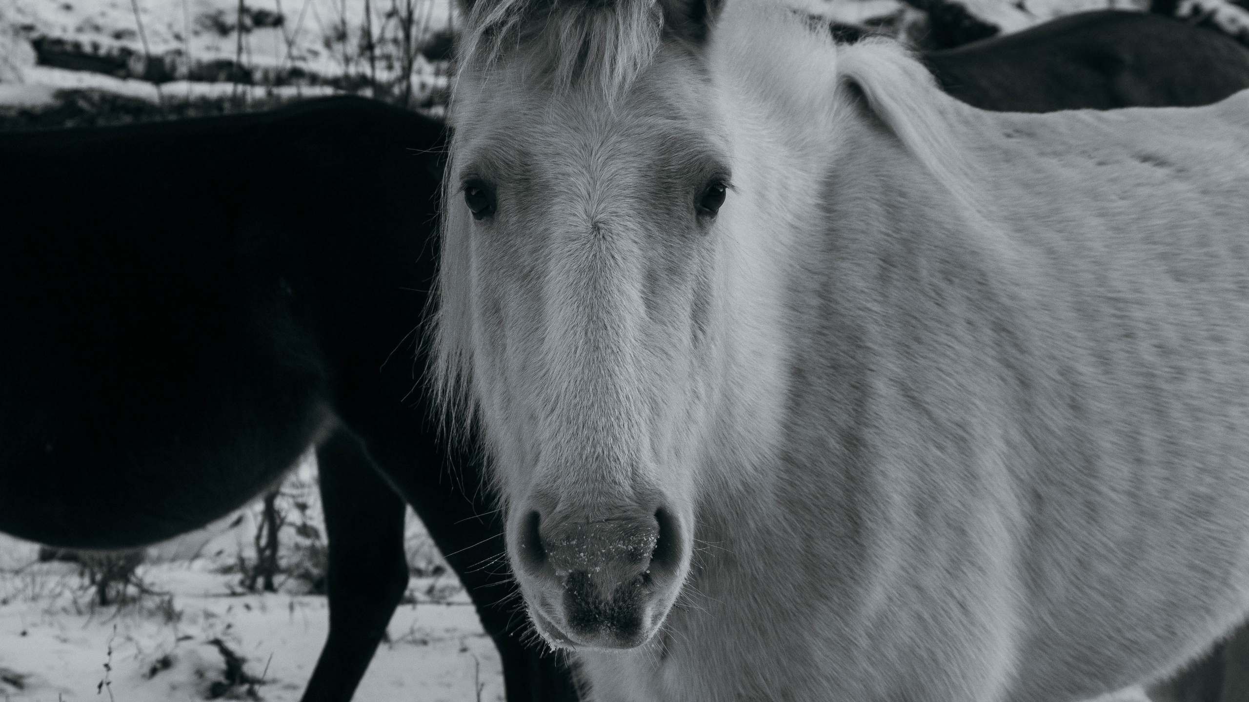 Путешествия. Anastasiia Kron