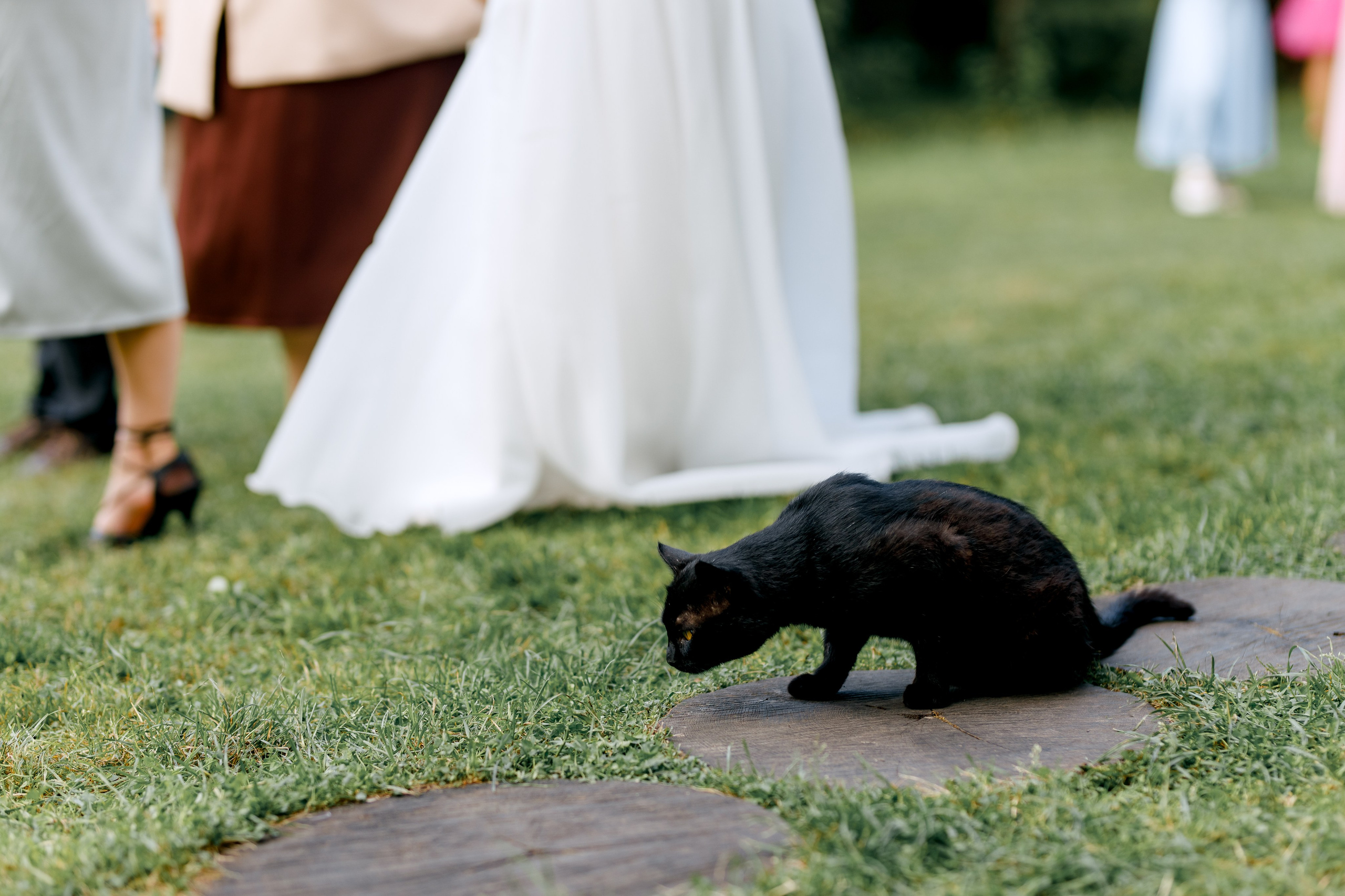 Валентин и Анастасия. Свадебный и семейный фотограф в Туле и области Маша Костина