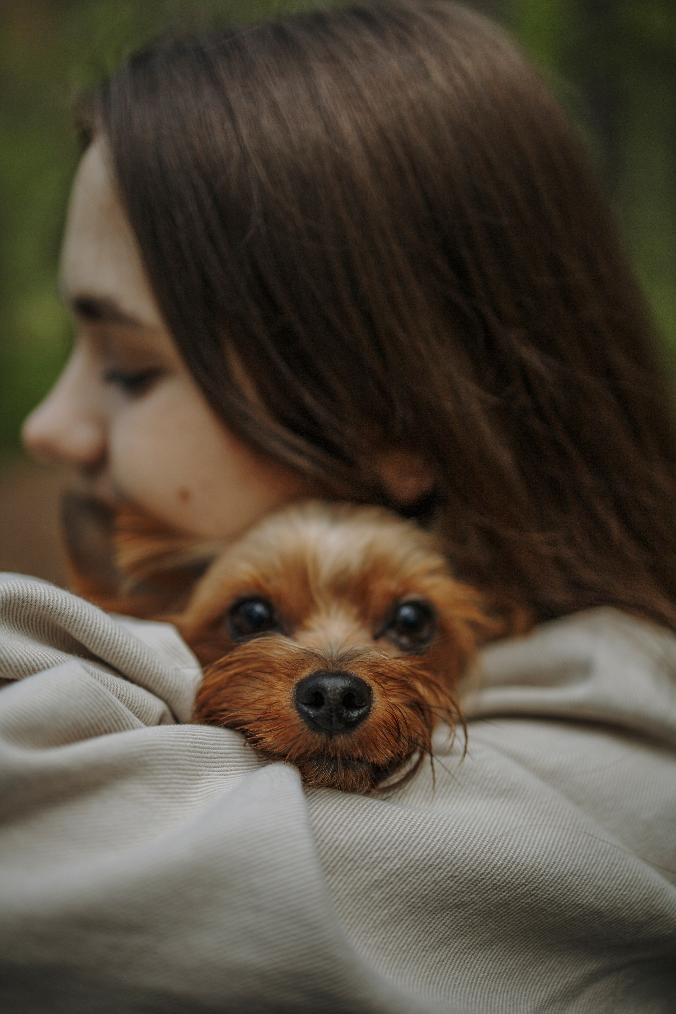 День из жизни Чуи и его семьи. Фотограф-анималист в Санкт-Петеребурге Титова Алиса