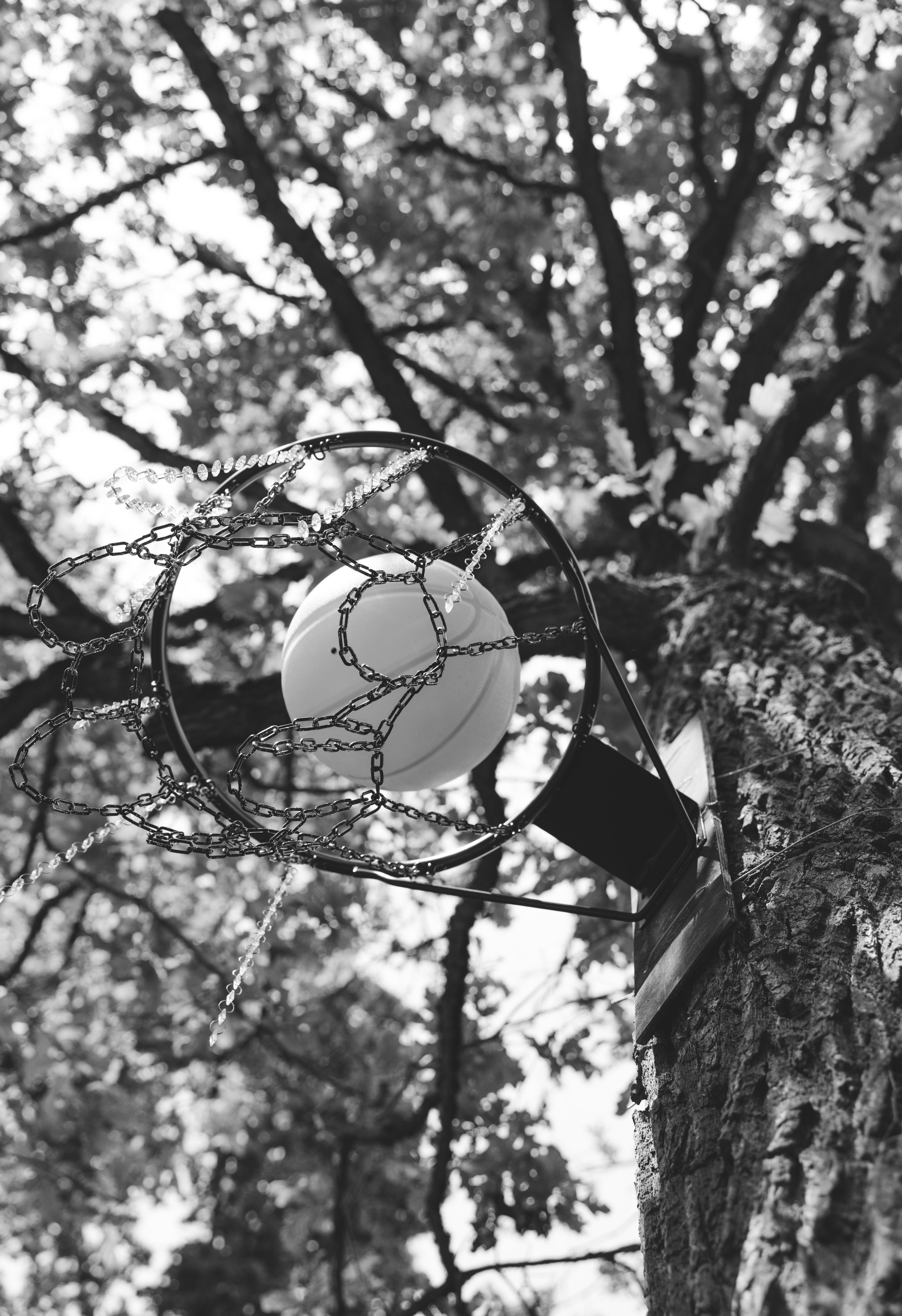 Ты — моя команда!