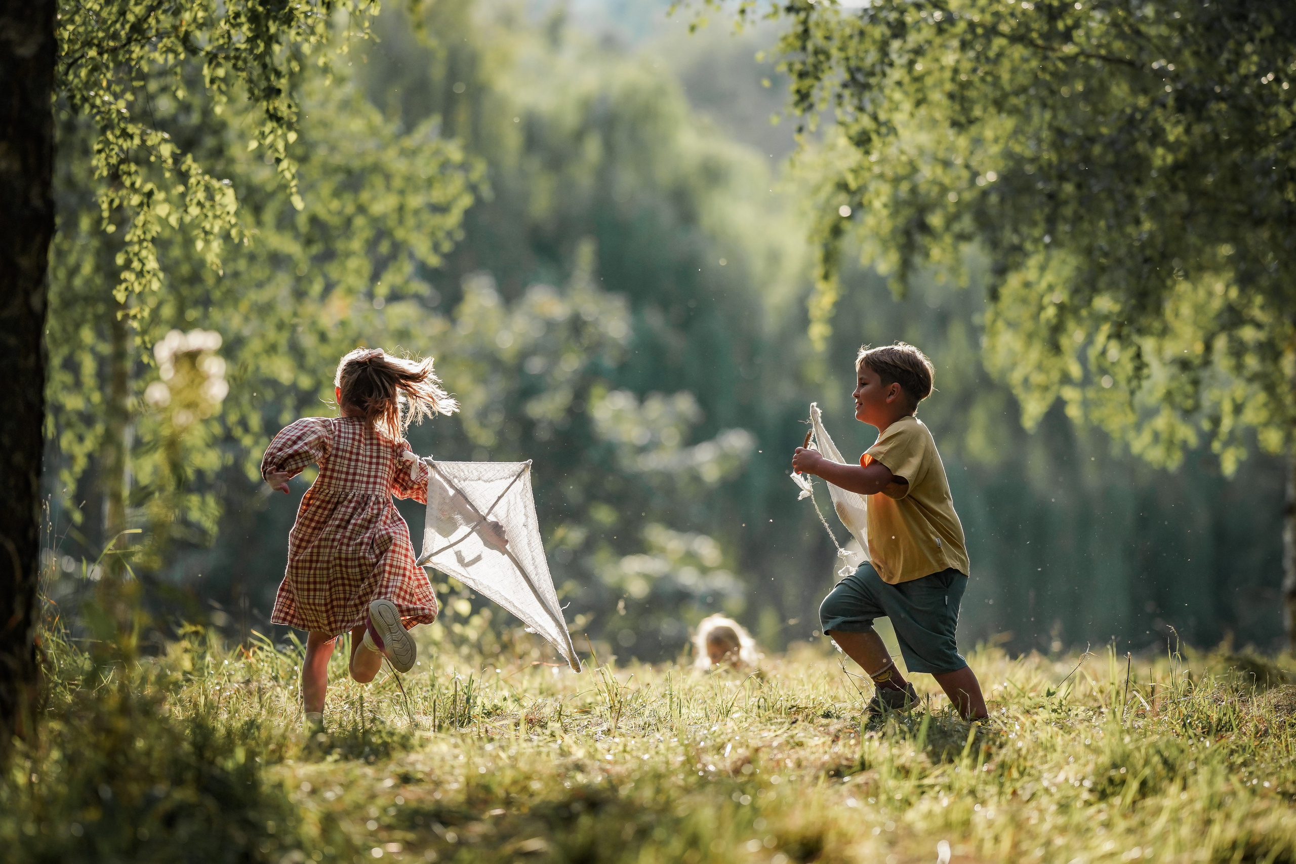 Воздушный змей. Семейный фотограф Ефремова Виктория