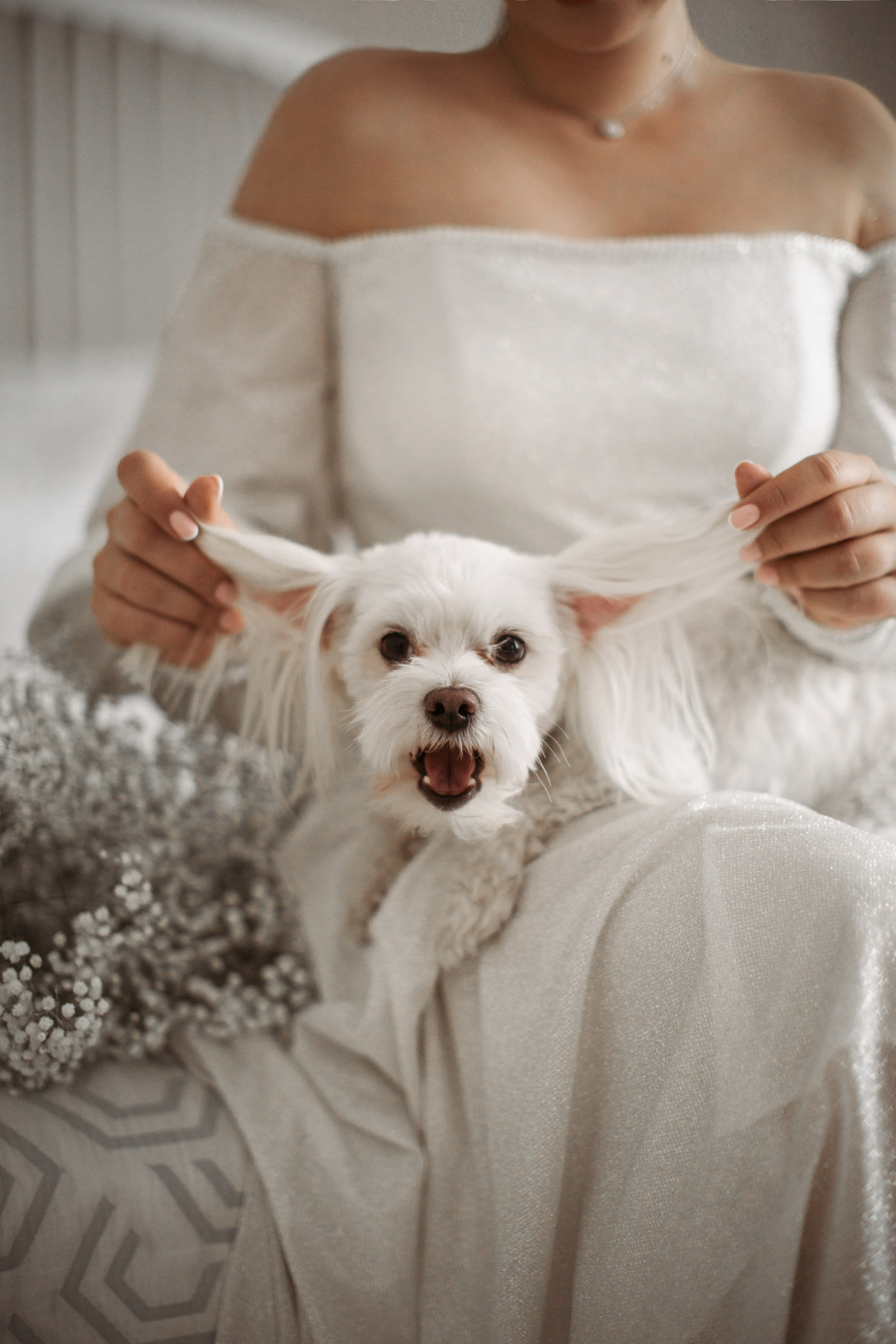 Любовь & Александр. Фотограф Амирян Марина