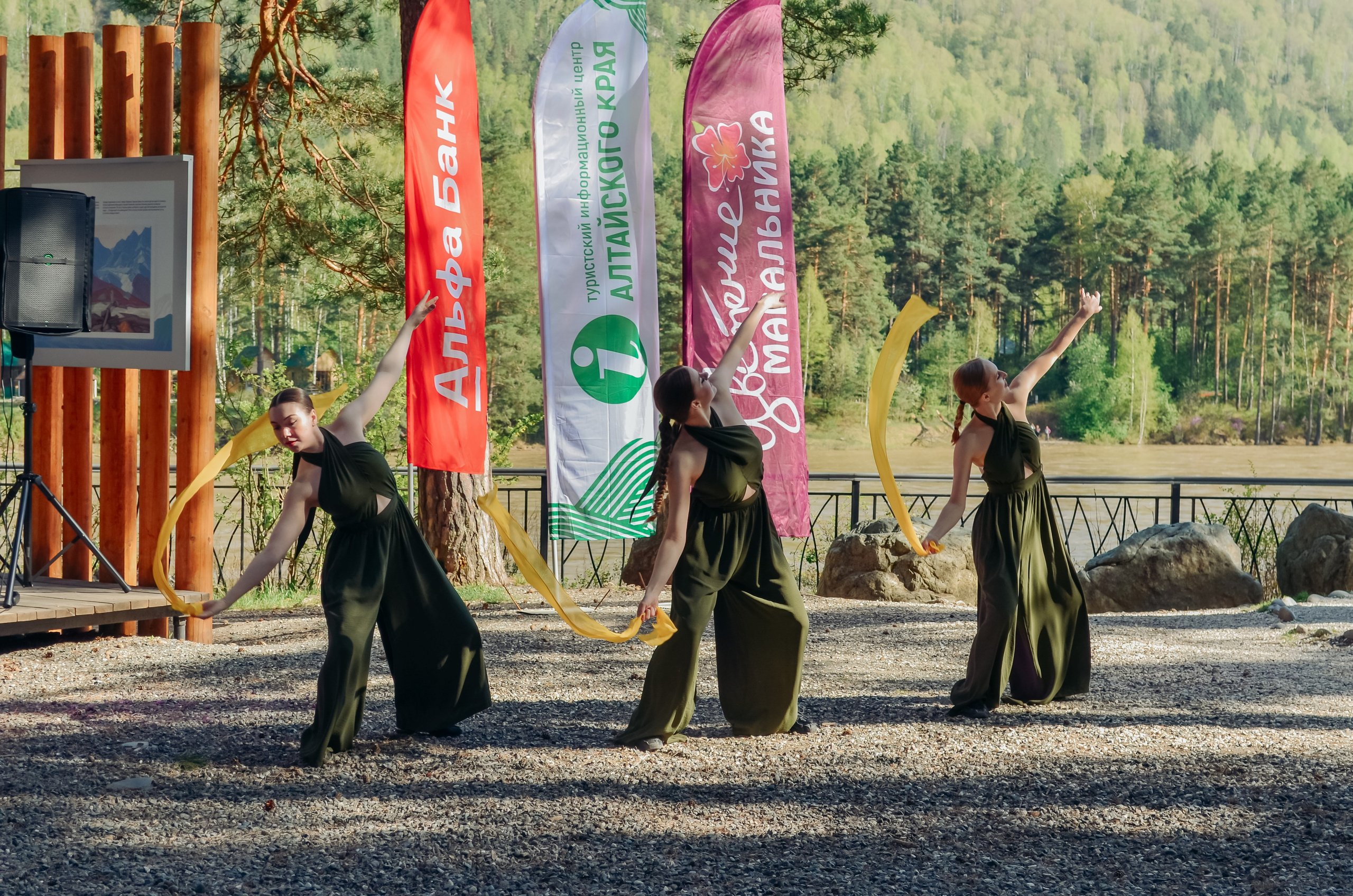 Фестиваль «Цветение Маральника на Алтае 2025». Фоторепортаж. Денисова Аля — фотограф для парных съемок и индивидуальных историй в Барнауле