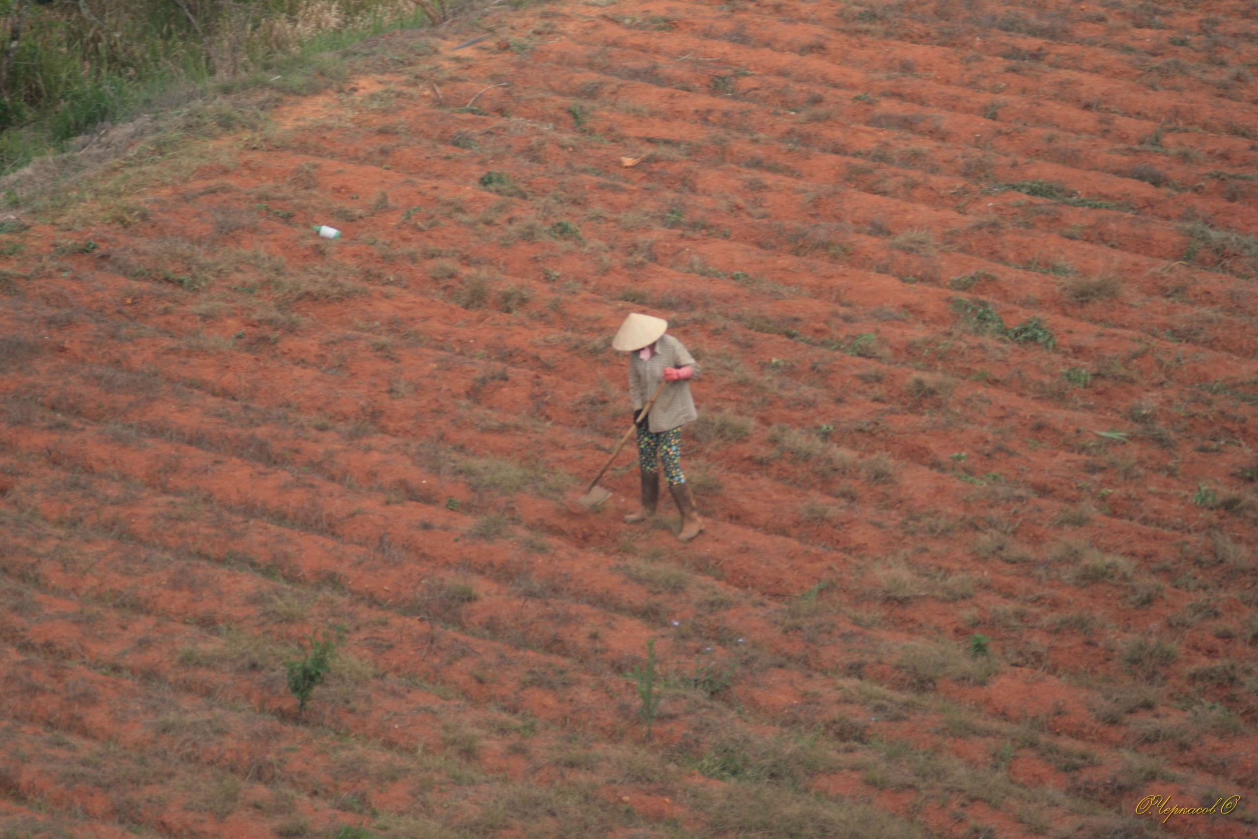 Вьетнам 2008 г. Улица, люди, жизнь…