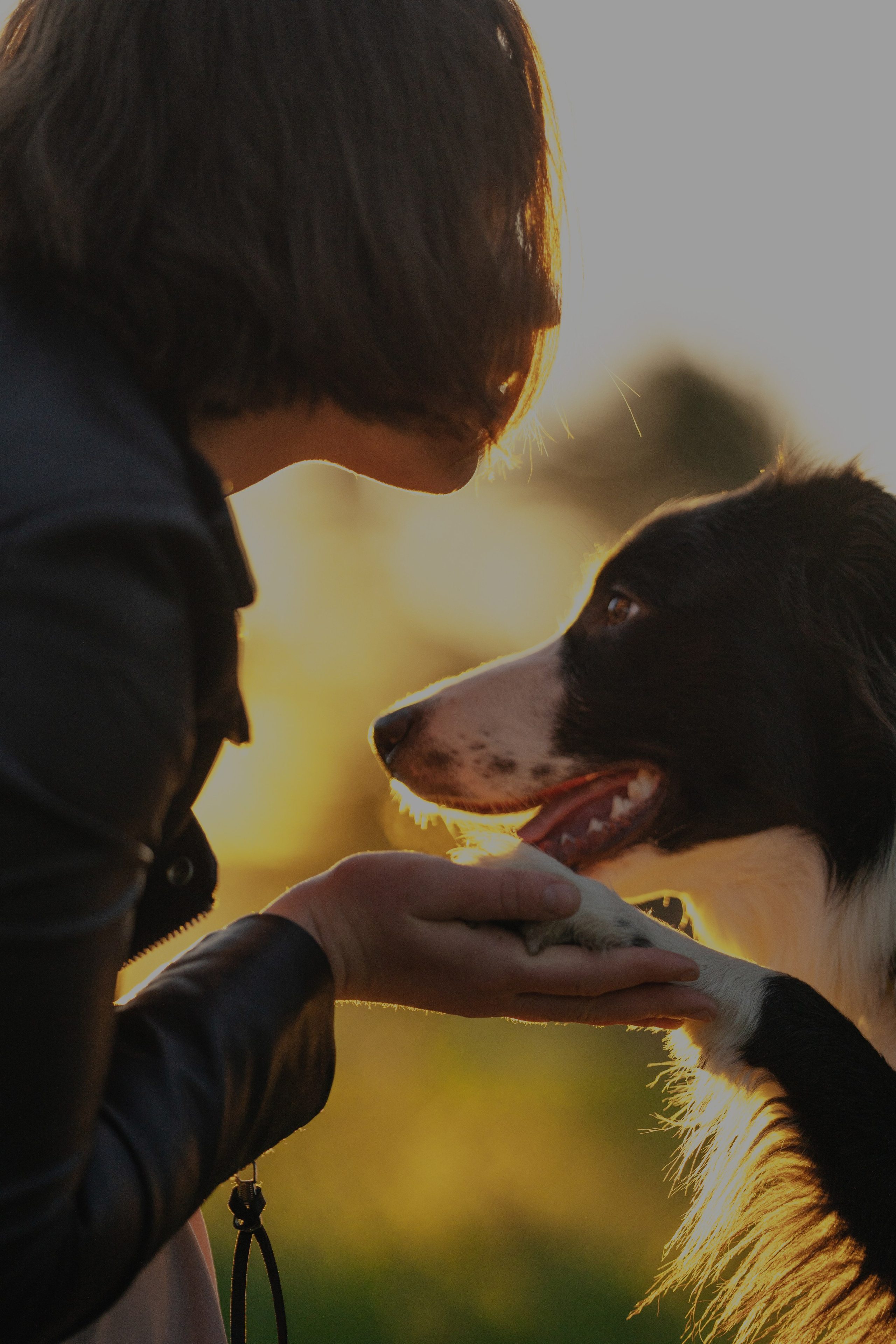 Люба + Близ (рассветная съемка). Kameramotor74