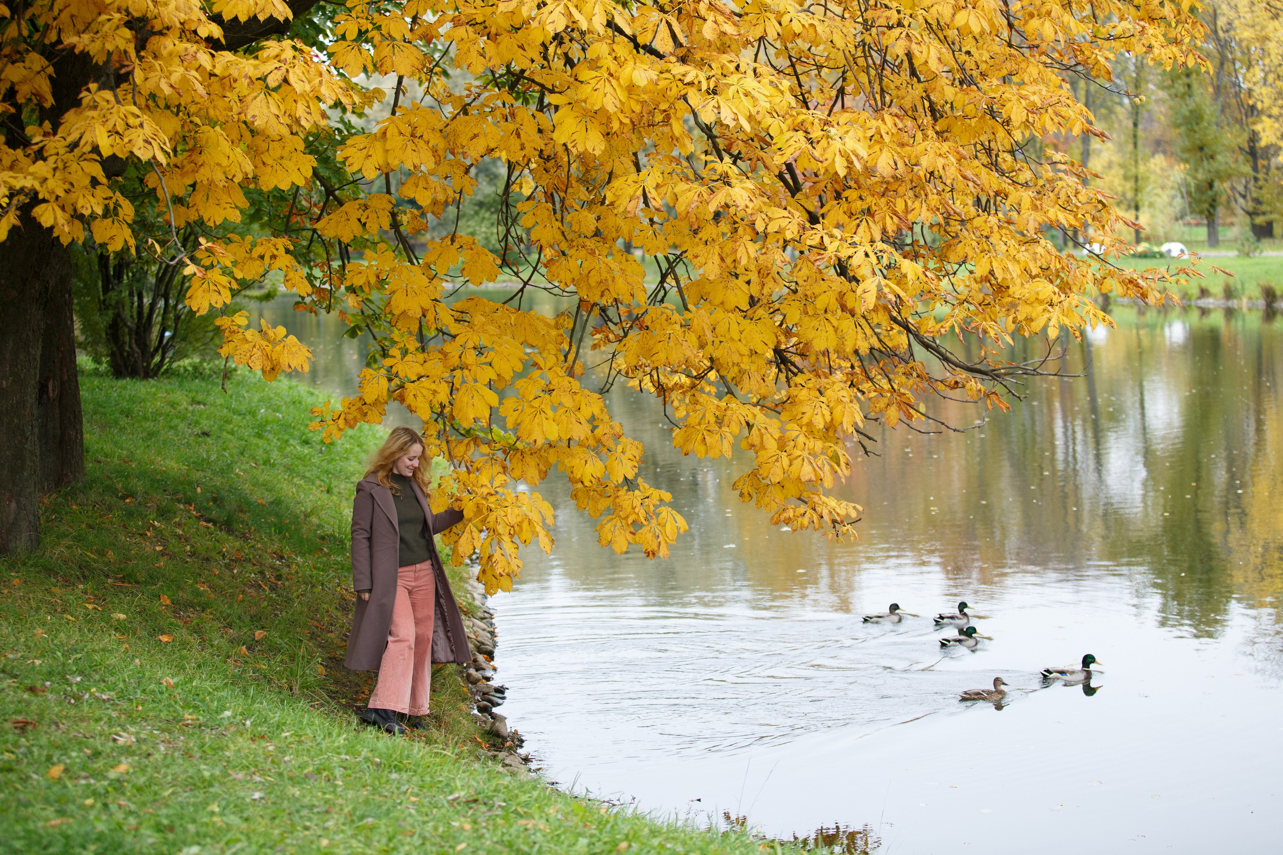 ПРОГУЛКИ. Фотограф Надежда Заломаева