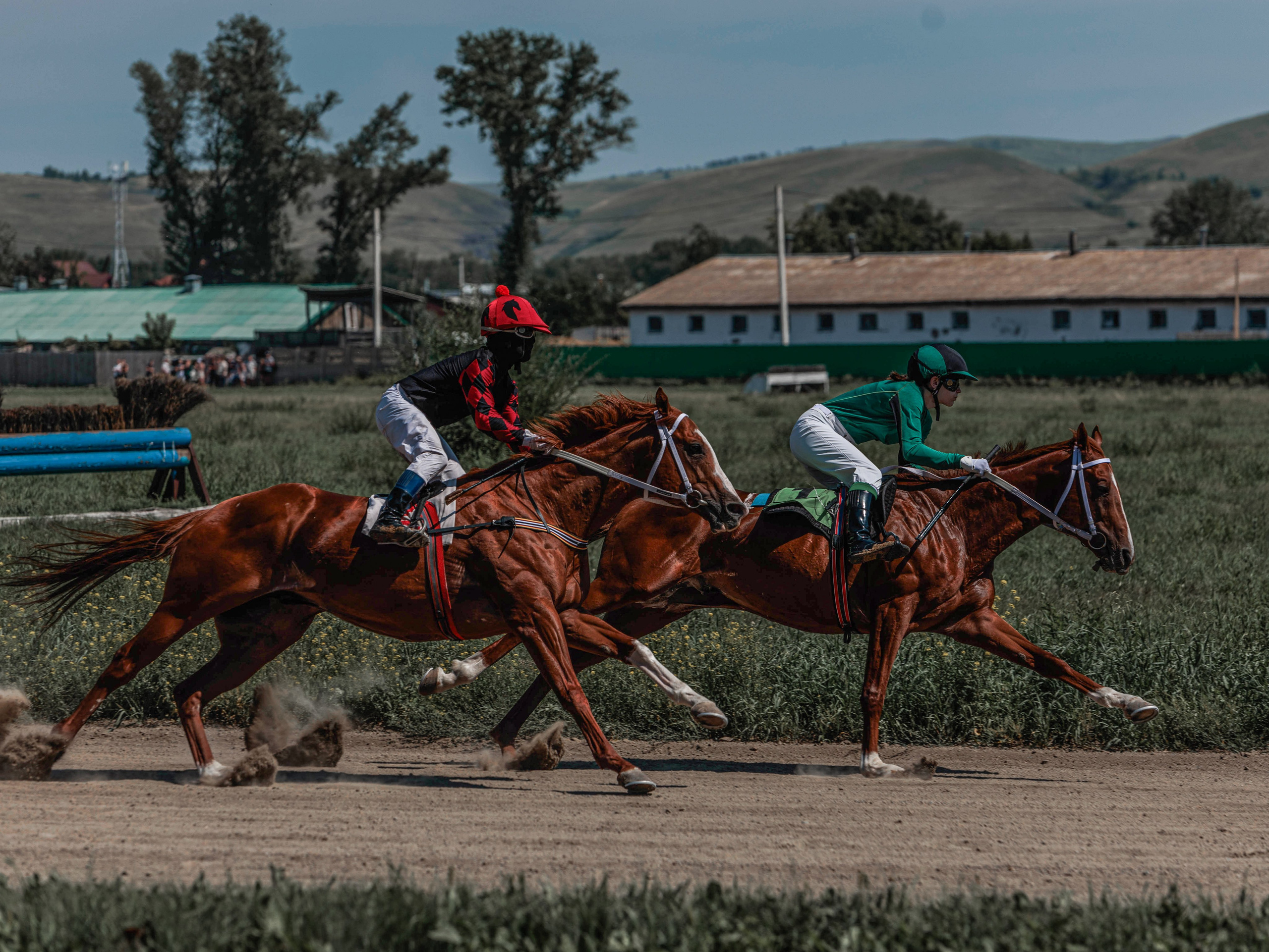 Зарисовки Абаканский ипподром 2025. Конный фотограф в Красноярске — Любовь Похабова