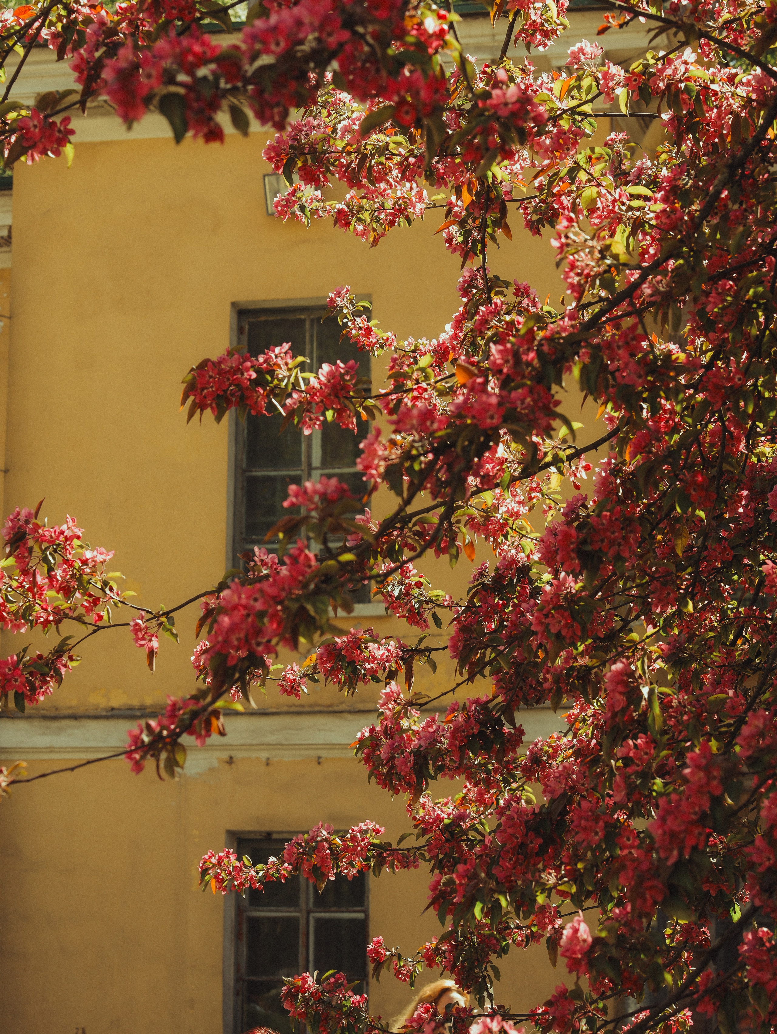 Природа &. Фотохудожник в СПб