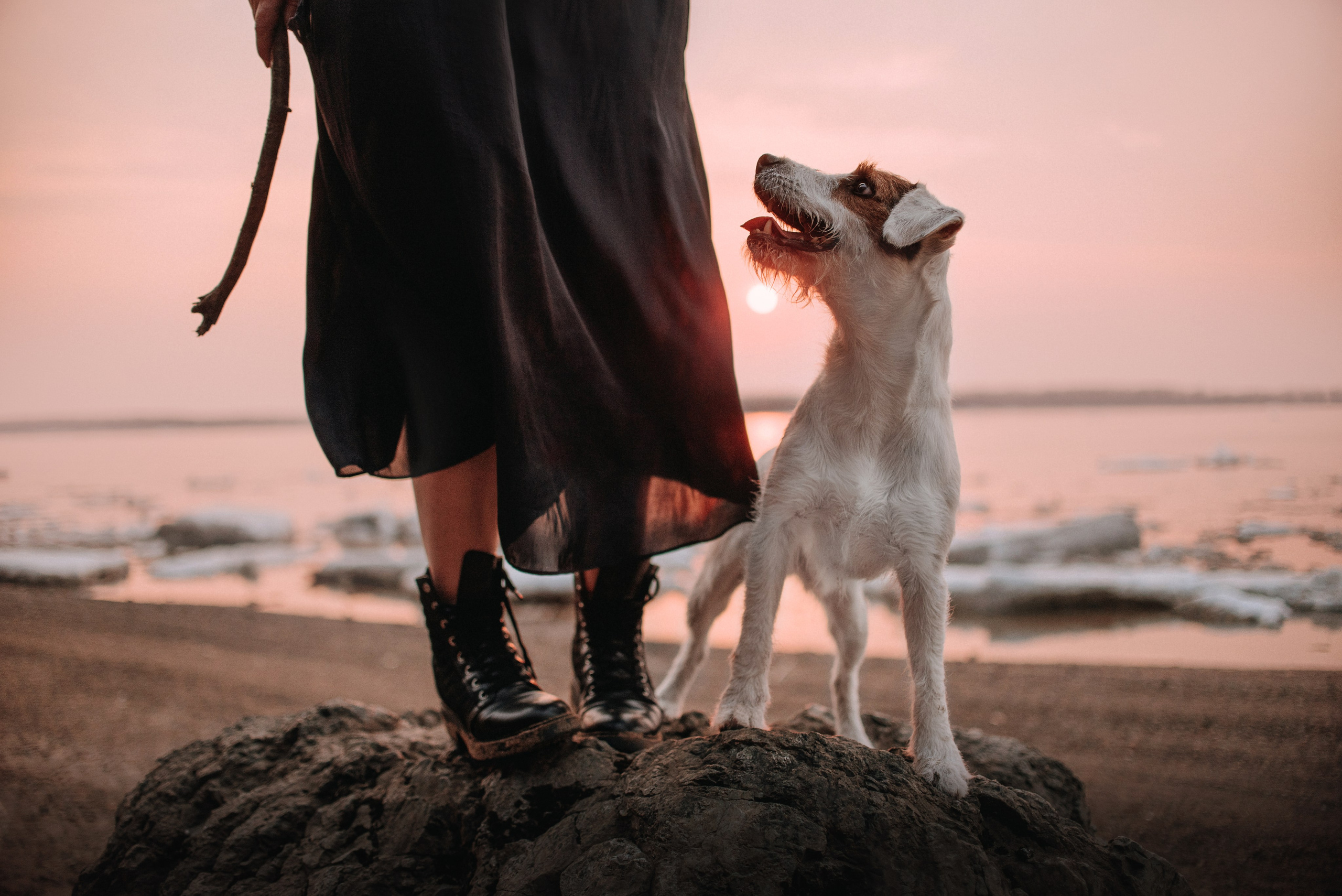 Прогулка: Ира и Гром весной. Портфолио