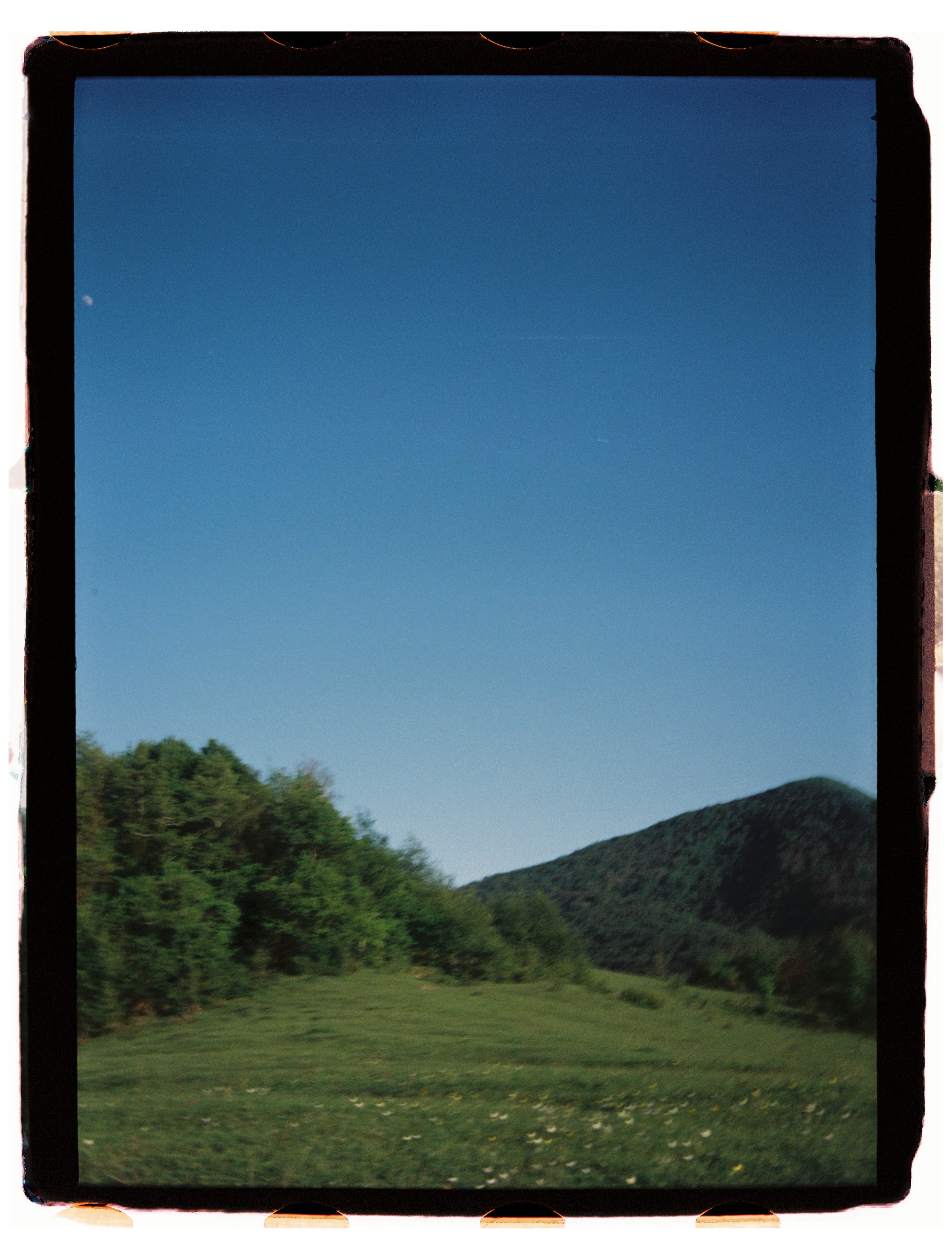 Юг. Профессиональный Фотограф во Владимире, в Москве и в Суздале — Полина Романычева