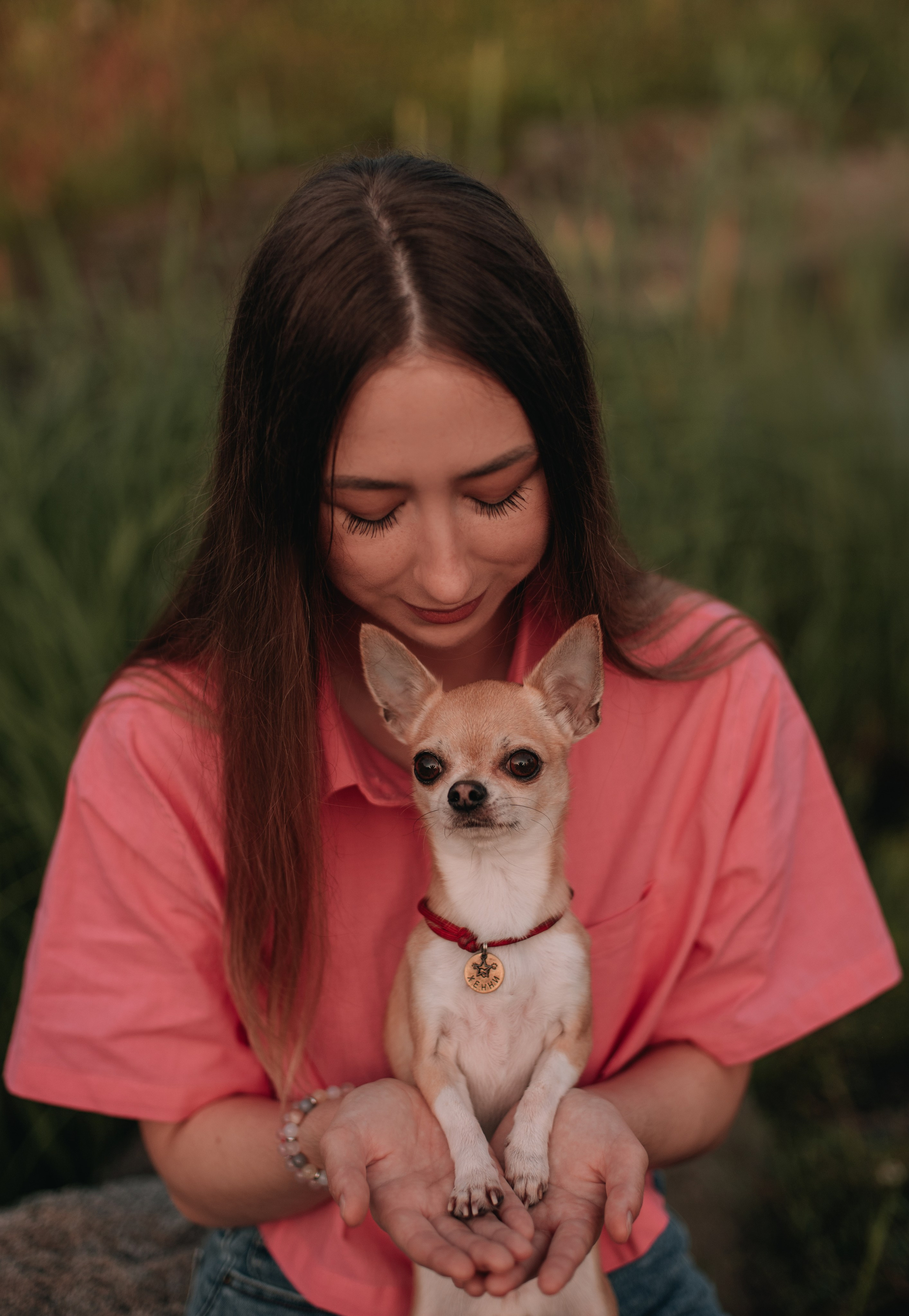 Прогулка: чихуахуа Хенни и Алина во Владивостоке. Портфолио