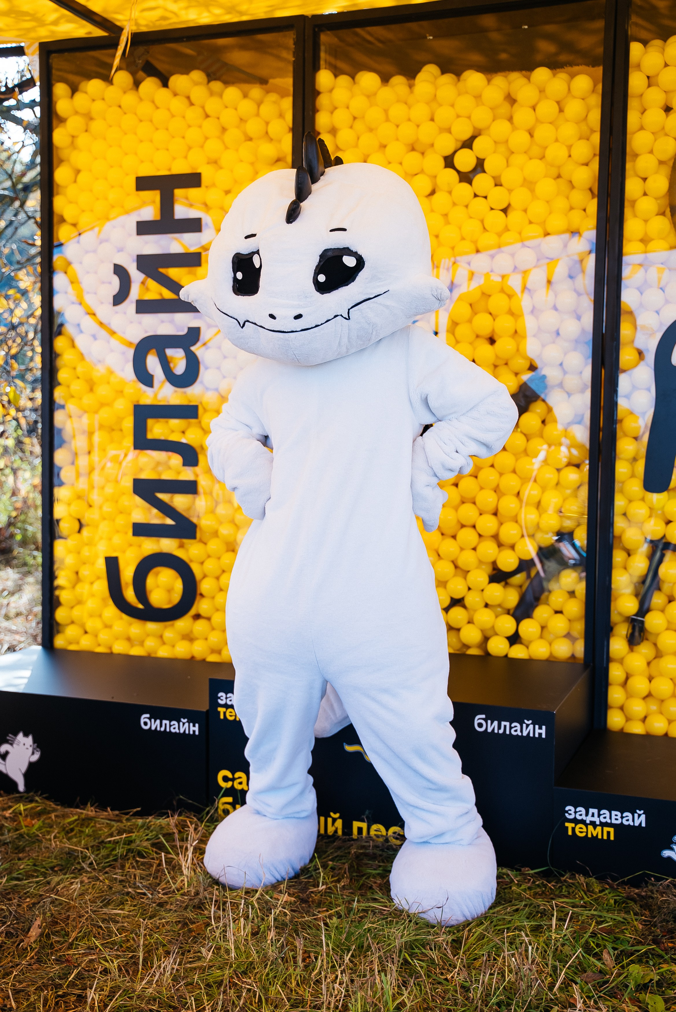 Билайн. Павел Краснов — Свадебный и репортажный фотограф в Москве