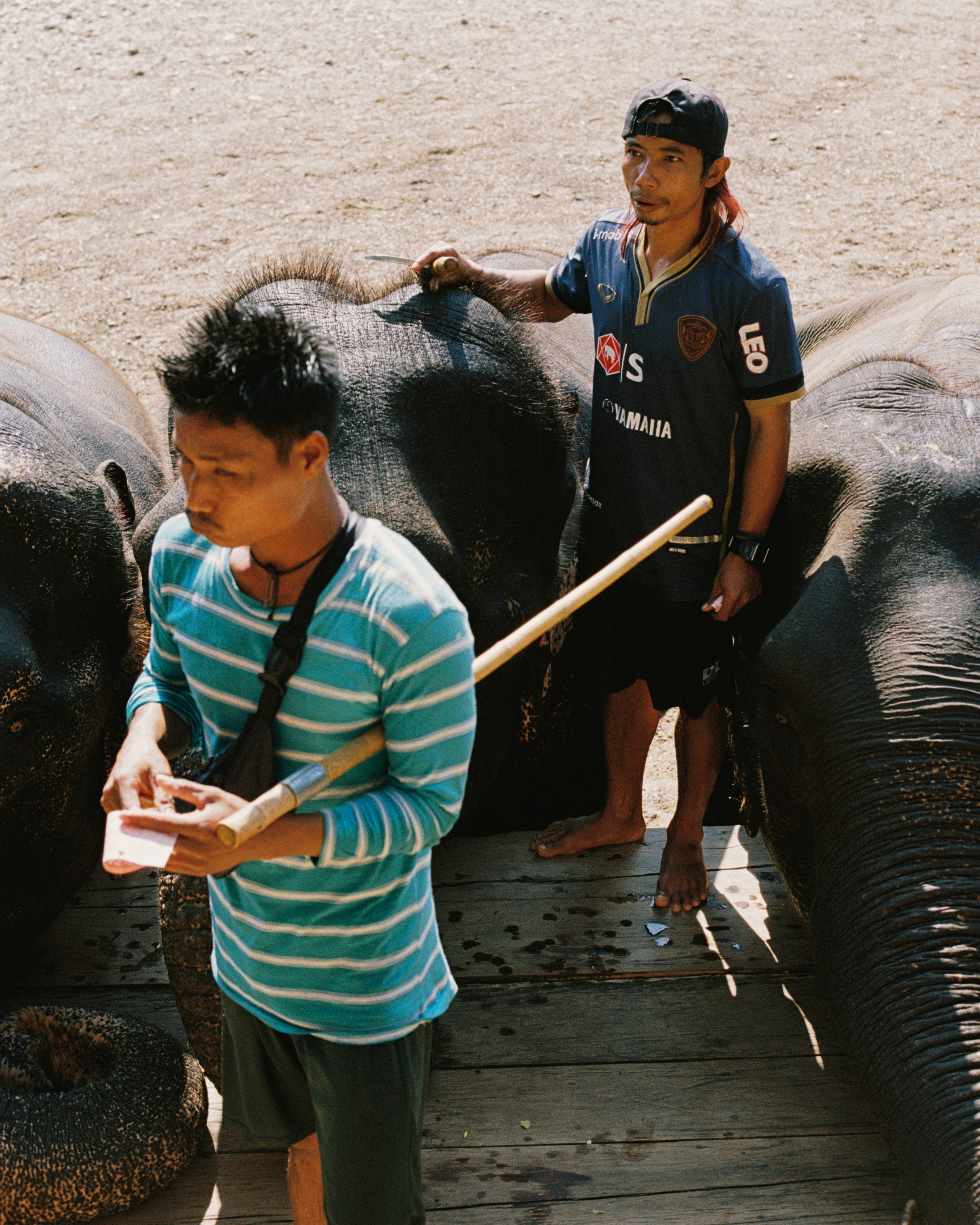 Thailand. Kirill Shashkov
