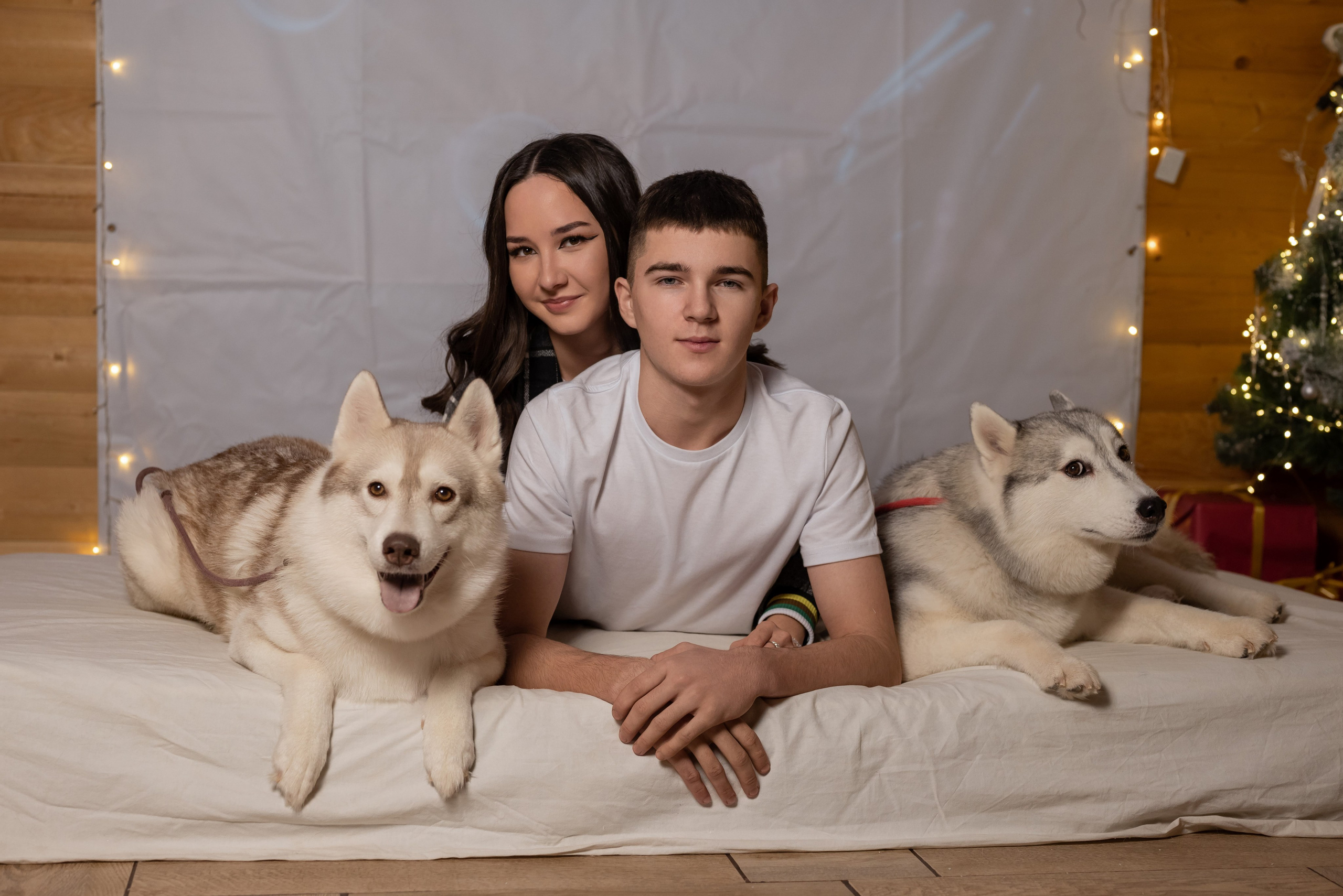 Фотопроект с хаски в частном доме. Фотограф в городе Салават