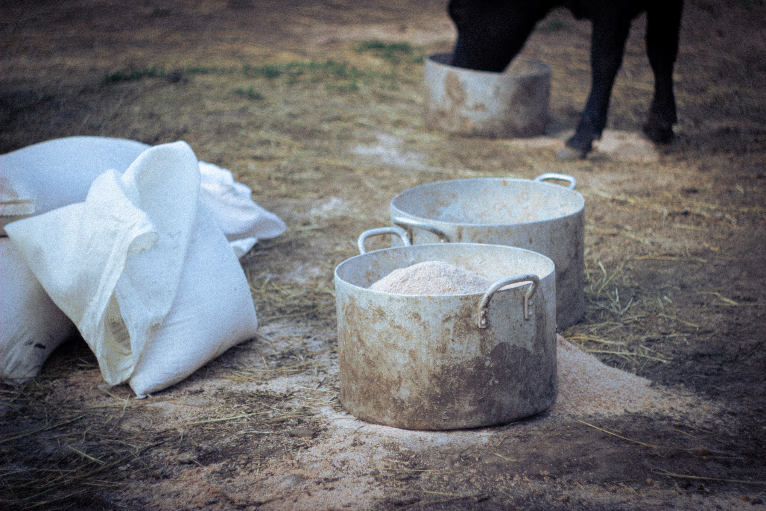 Платье в горошек. • Фотограф Александра Светозар Алчевск •