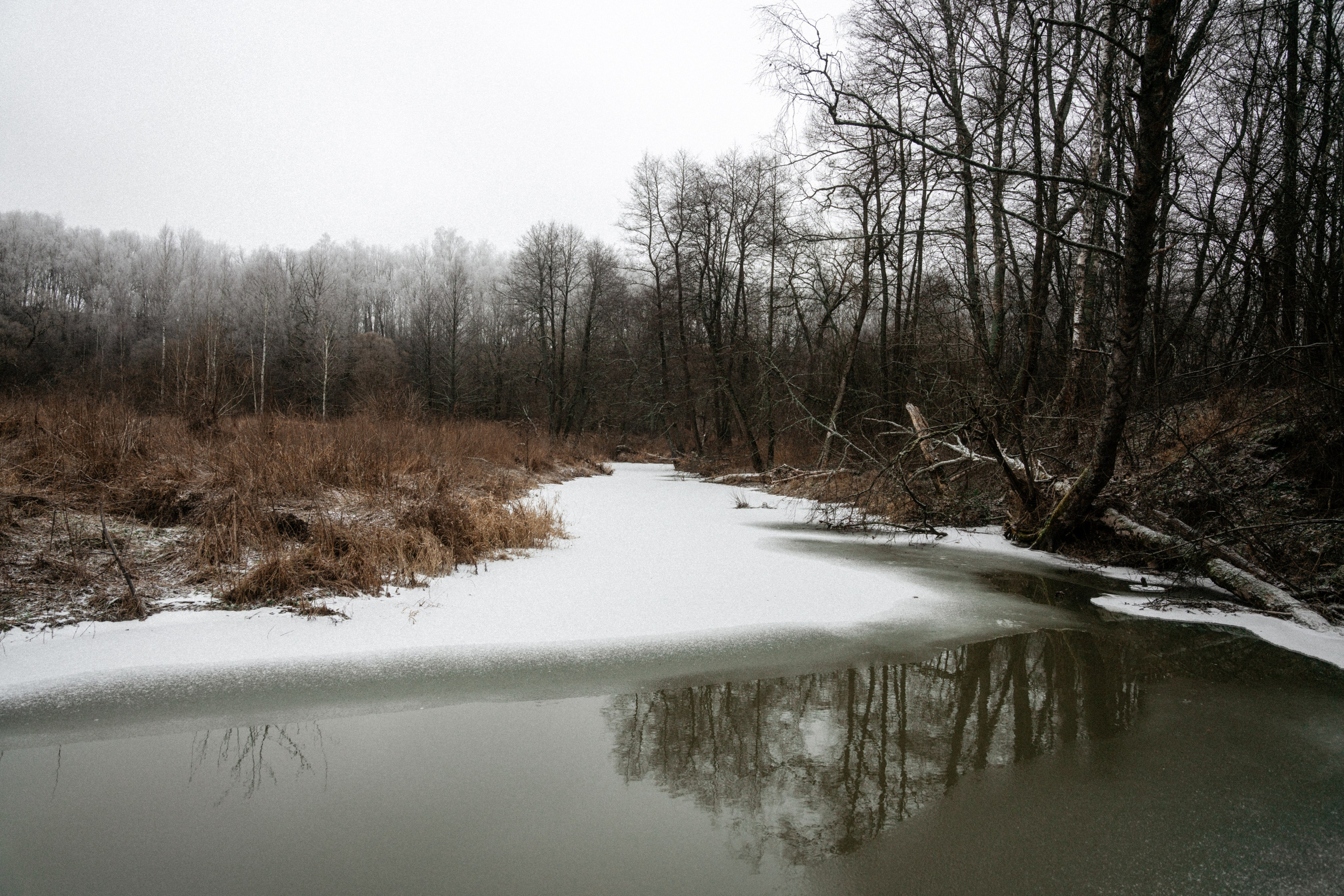 Прогулка по оврагу близ реки. Vlad Trykov