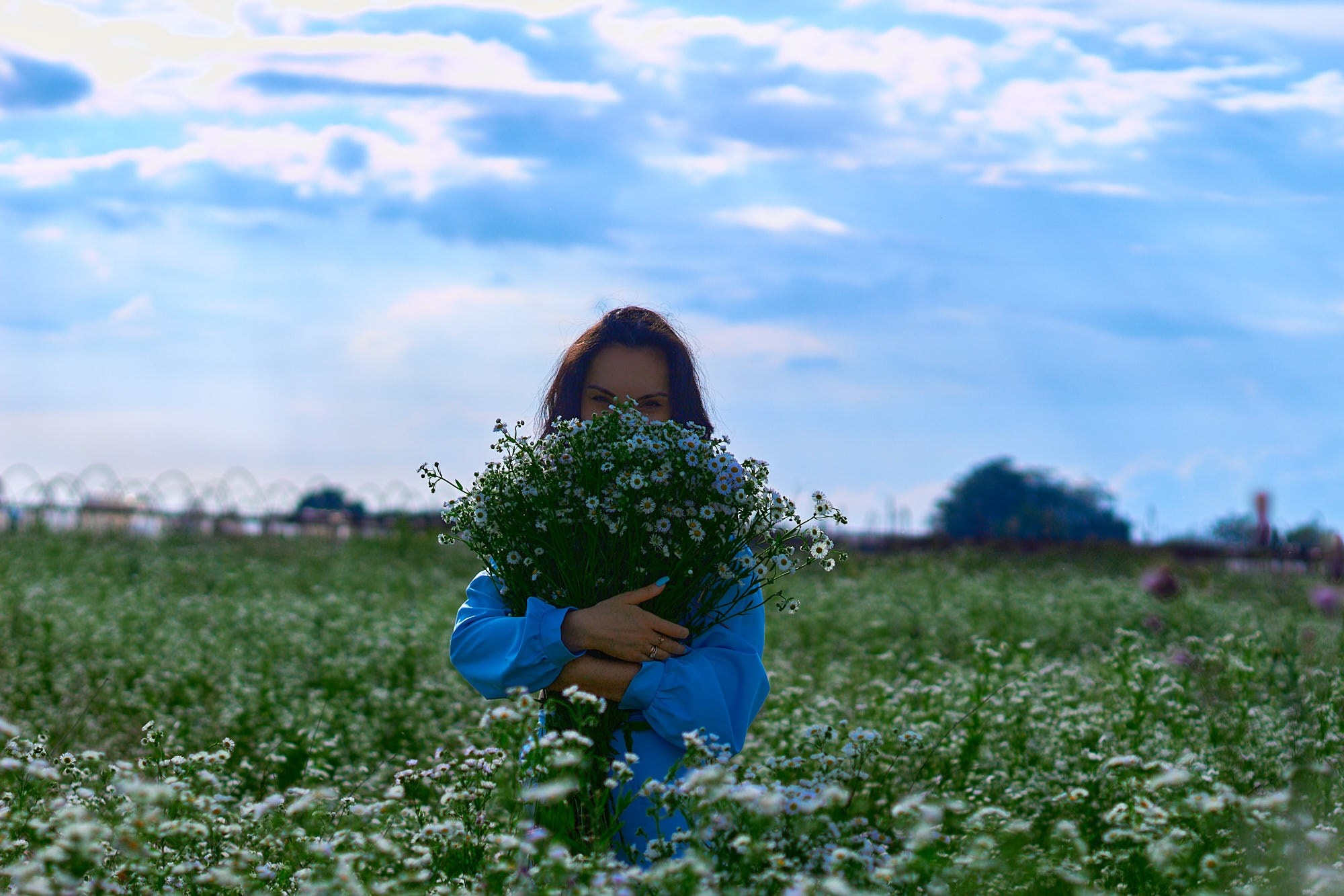 Фотосессия с ромашками. Семейный и свадебный фотограф в Краснодаре Михеева Светлана