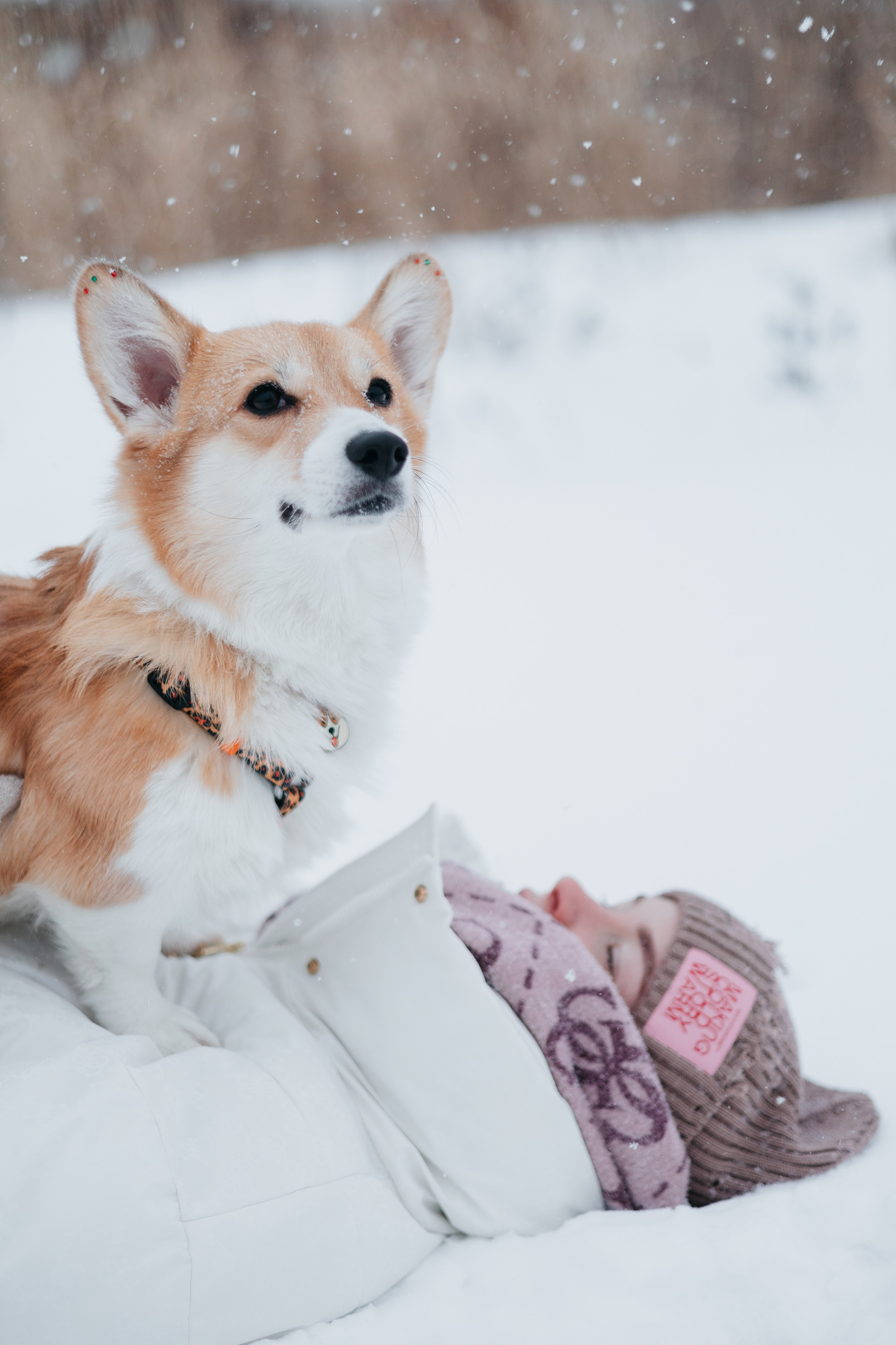 Лена, Лиза и Мия. Фотограф — анималист Владивосток, Алина