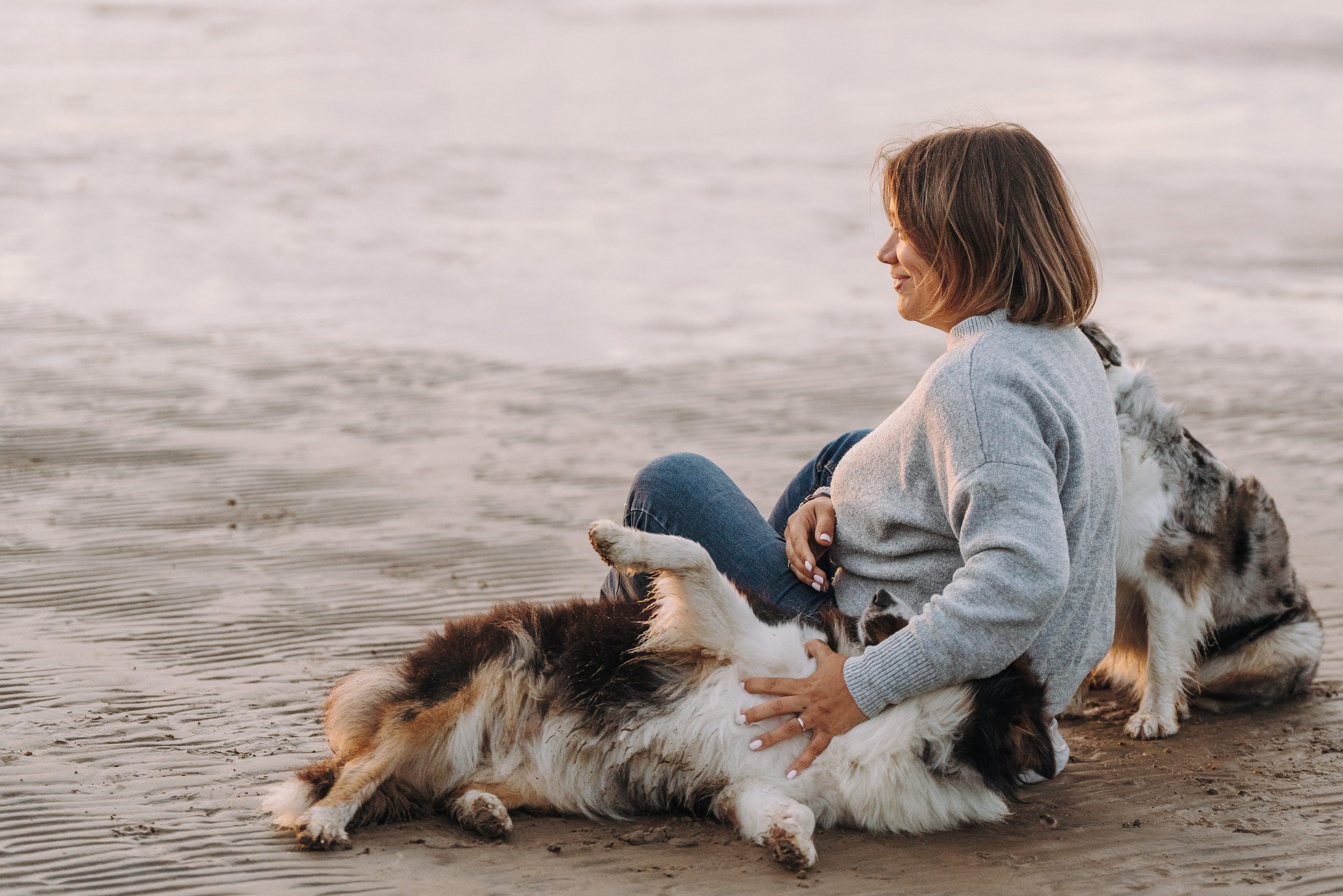 Фотограф анималист в Спб. Фотограф анималист в Спб недорого Олеся Майорова