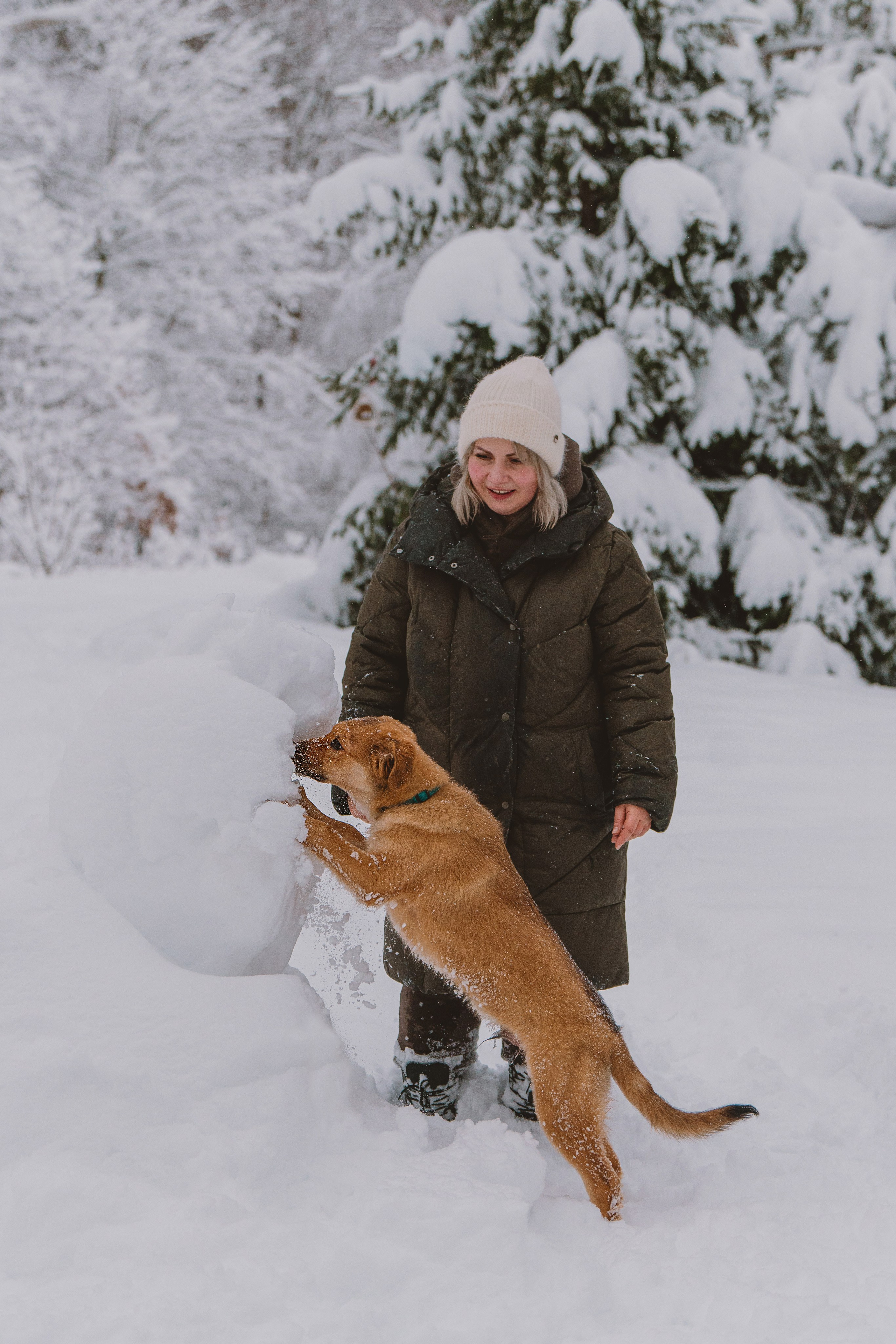 Фотосессия с питомцами на природе. Фотограф анималист в Спб недорого Олеся Майорова
