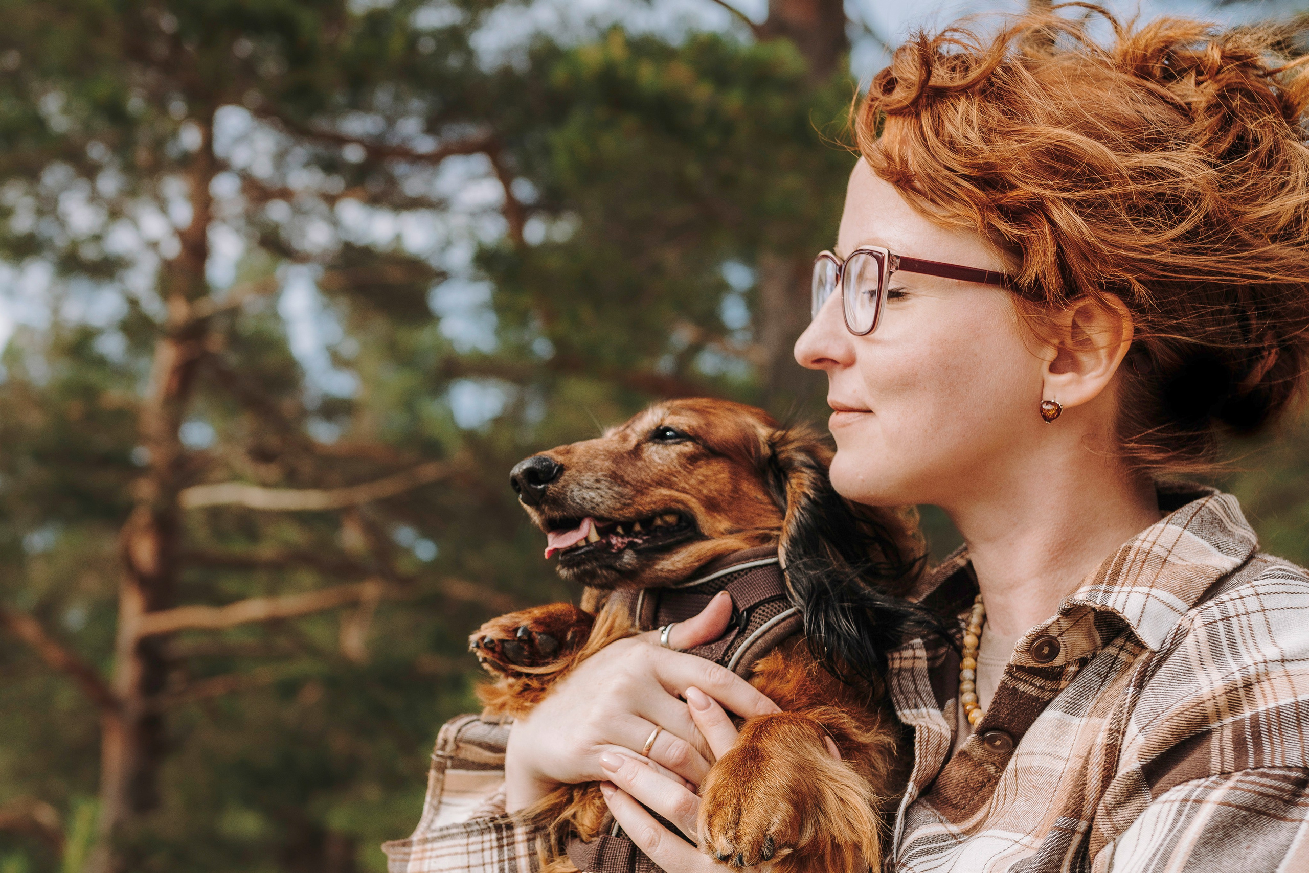 Фотосессия с длиношерстной таксой на пляжн. Фотограф анималист в Спб недорого Олеся Майорова