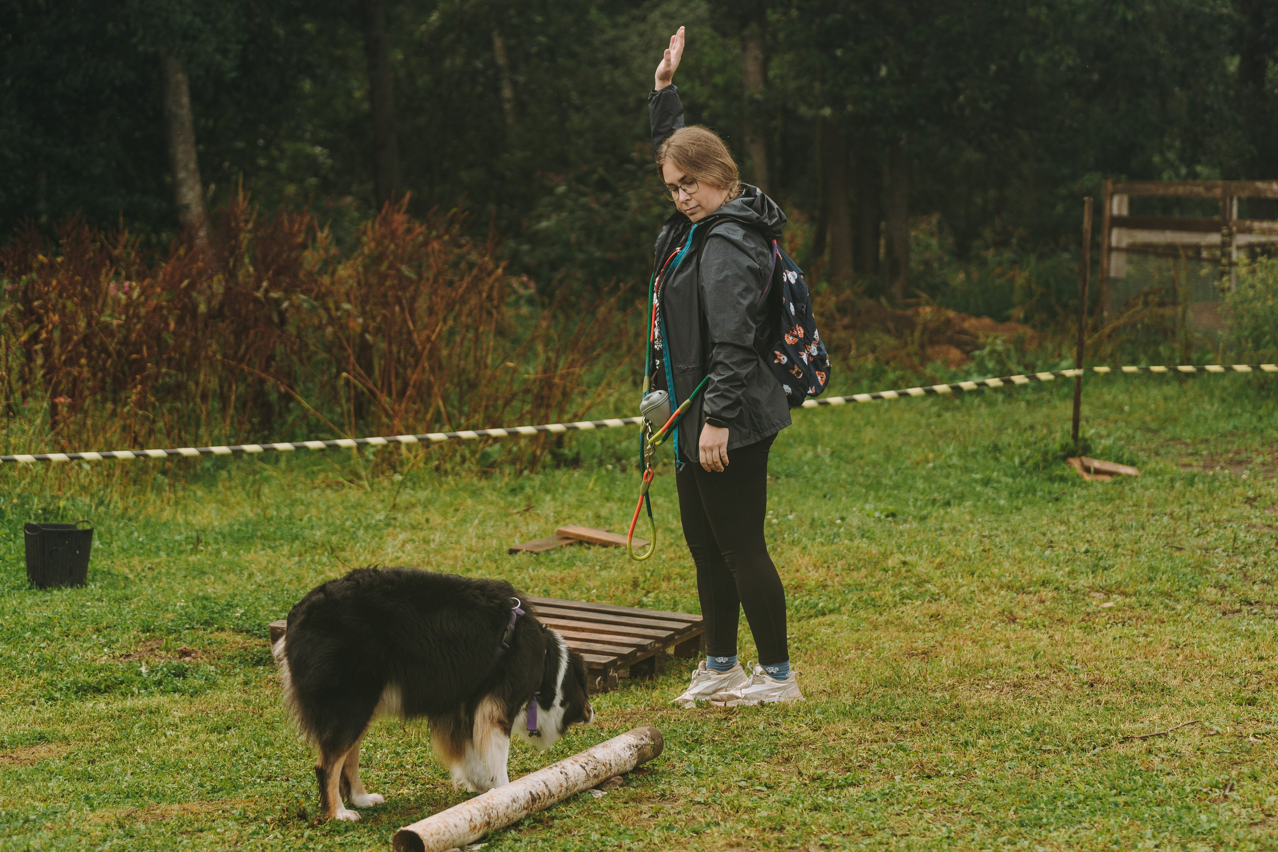 Соревнования по ноузворку в Новожилово. Фотограф анималист в Спб недорого Олеся Майорова
