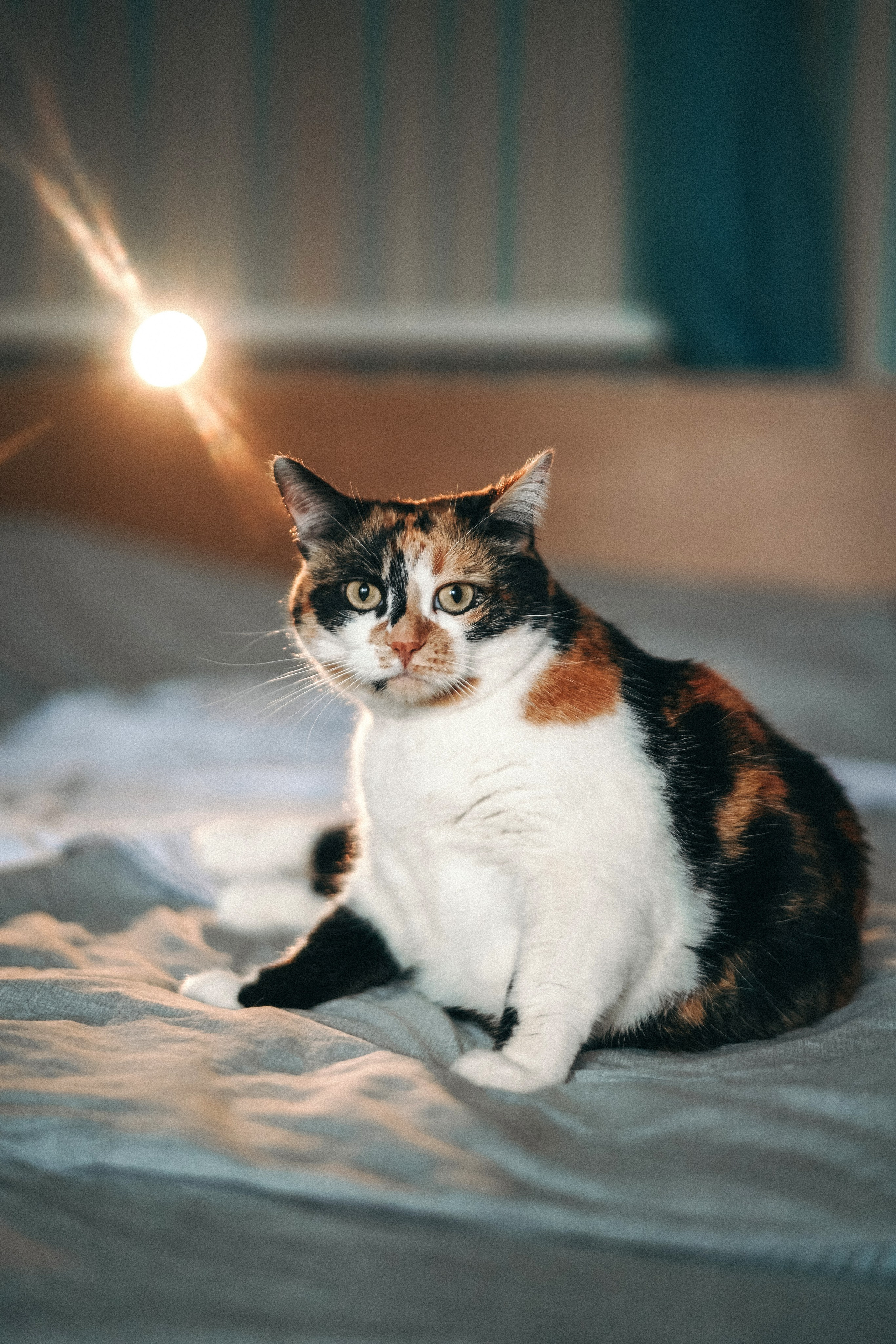 Домашняя фотосессия Ирины и Киры. Детский, семейный и ньюборн фотограф в Москве Юлия Шуарт