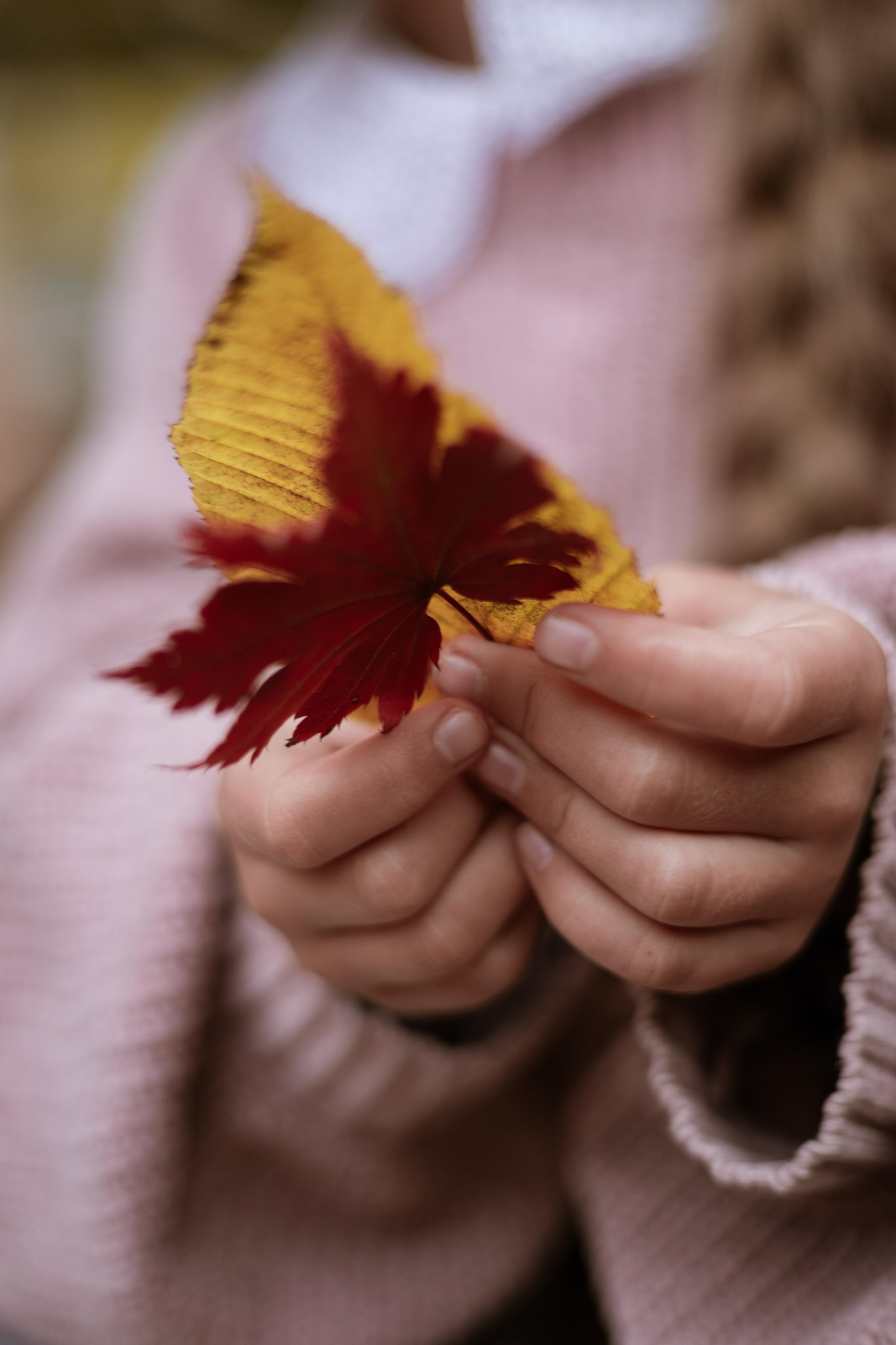 Какао и черничный пирог. Фотограф во Владивостоке Татьяна Самойленко