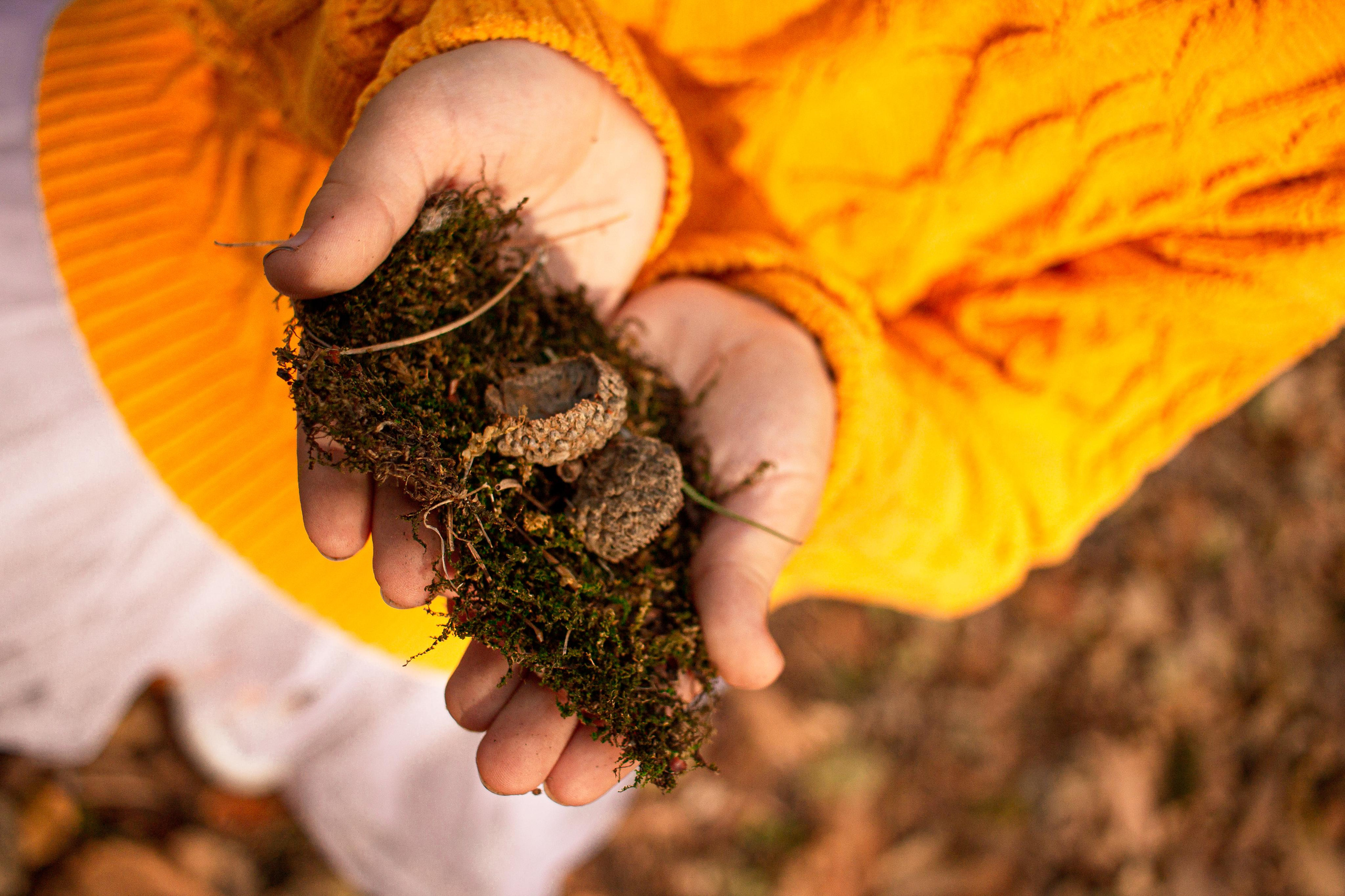 Тыквенный джем. Фотограф во Владивостоке Татьяна Самойленко