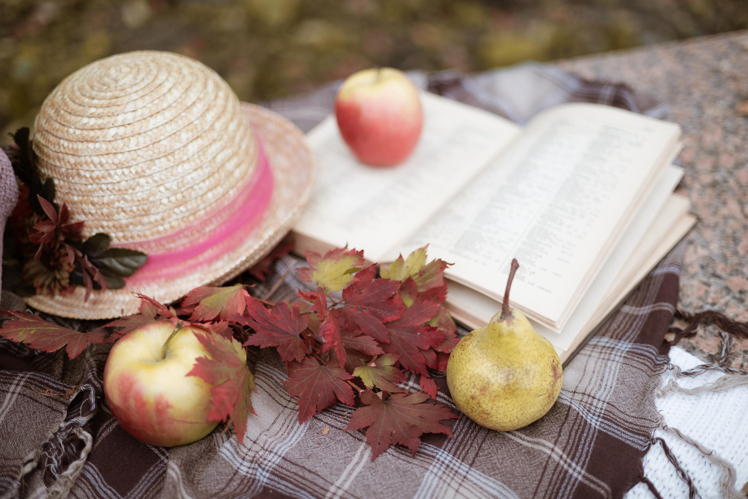 Какао и черничный пирог. Фотограф во Владивостоке Татьяна Самойленко