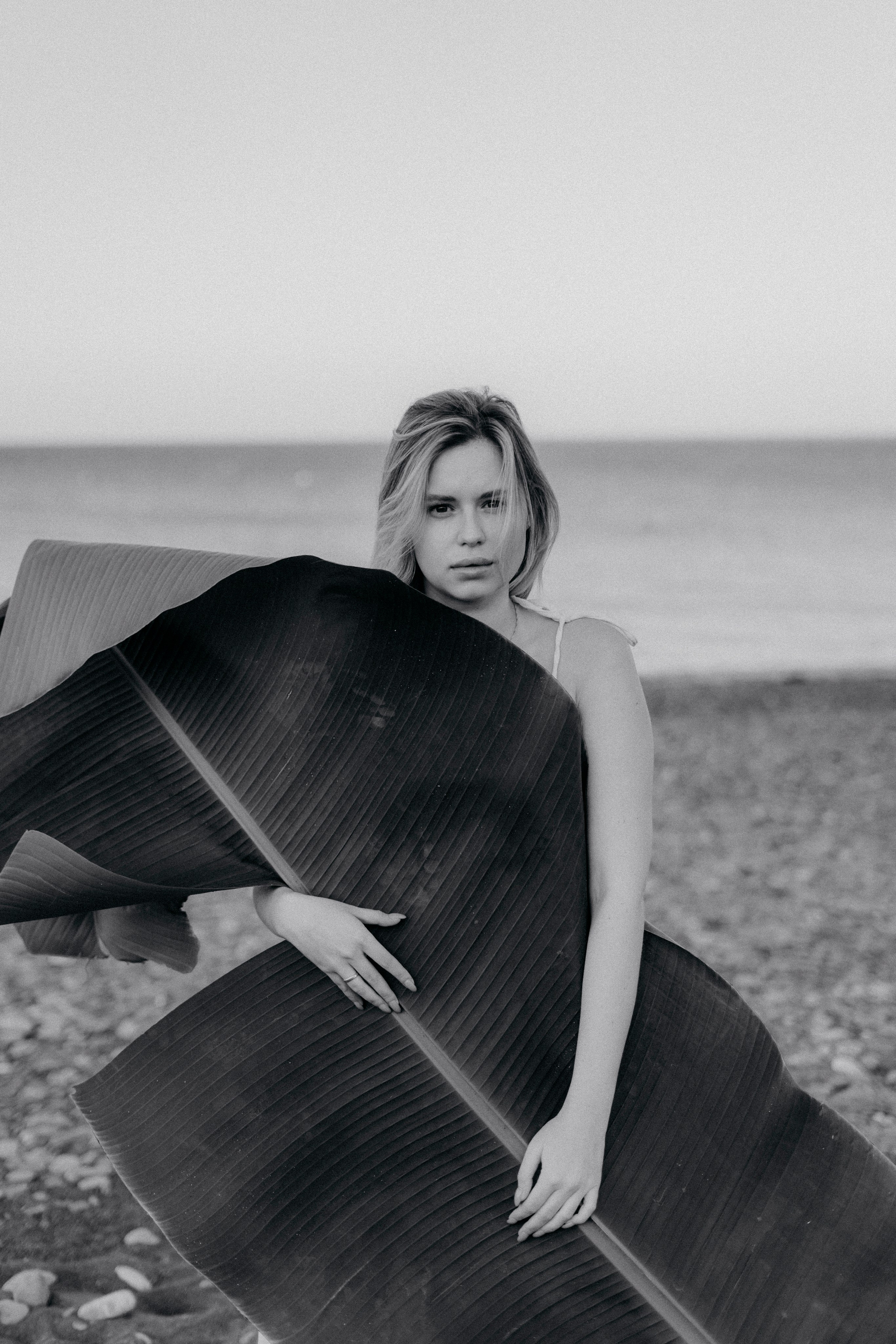 Ривьера. Фотограф Крым, Севастополь