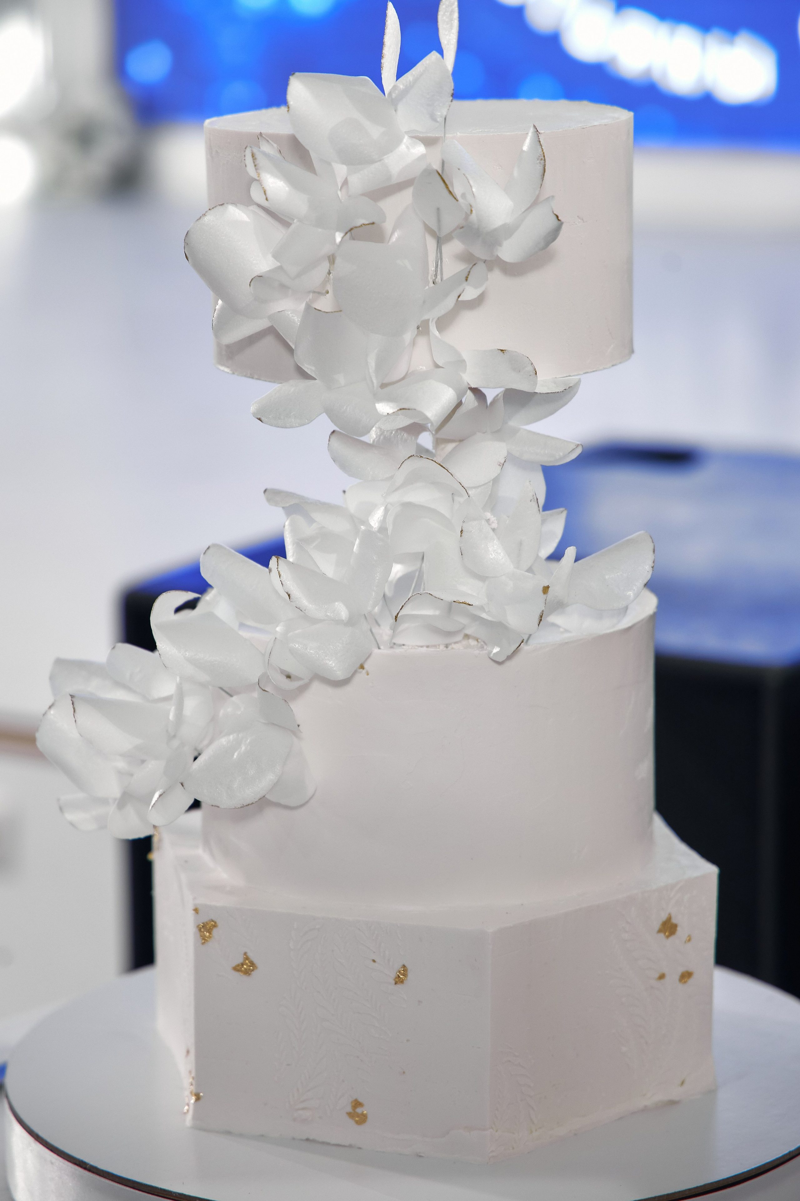 Битва кондитеров Барнаул. Свадебный репортажный и фуд фотограф в Барнауле Гайфулин Виталий