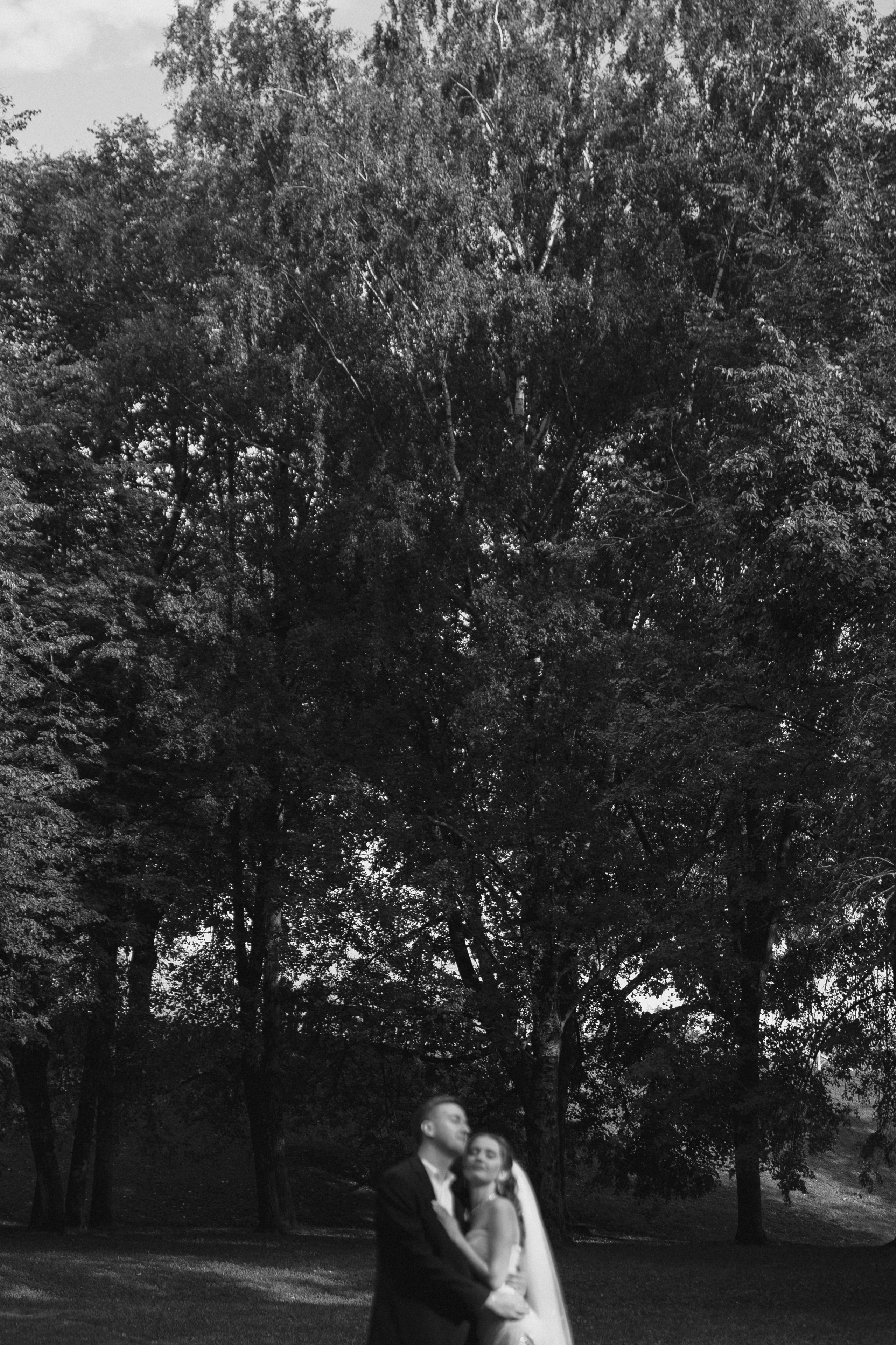 Александр и Дарья. Свадебный фотограф Анастасия Тащилина