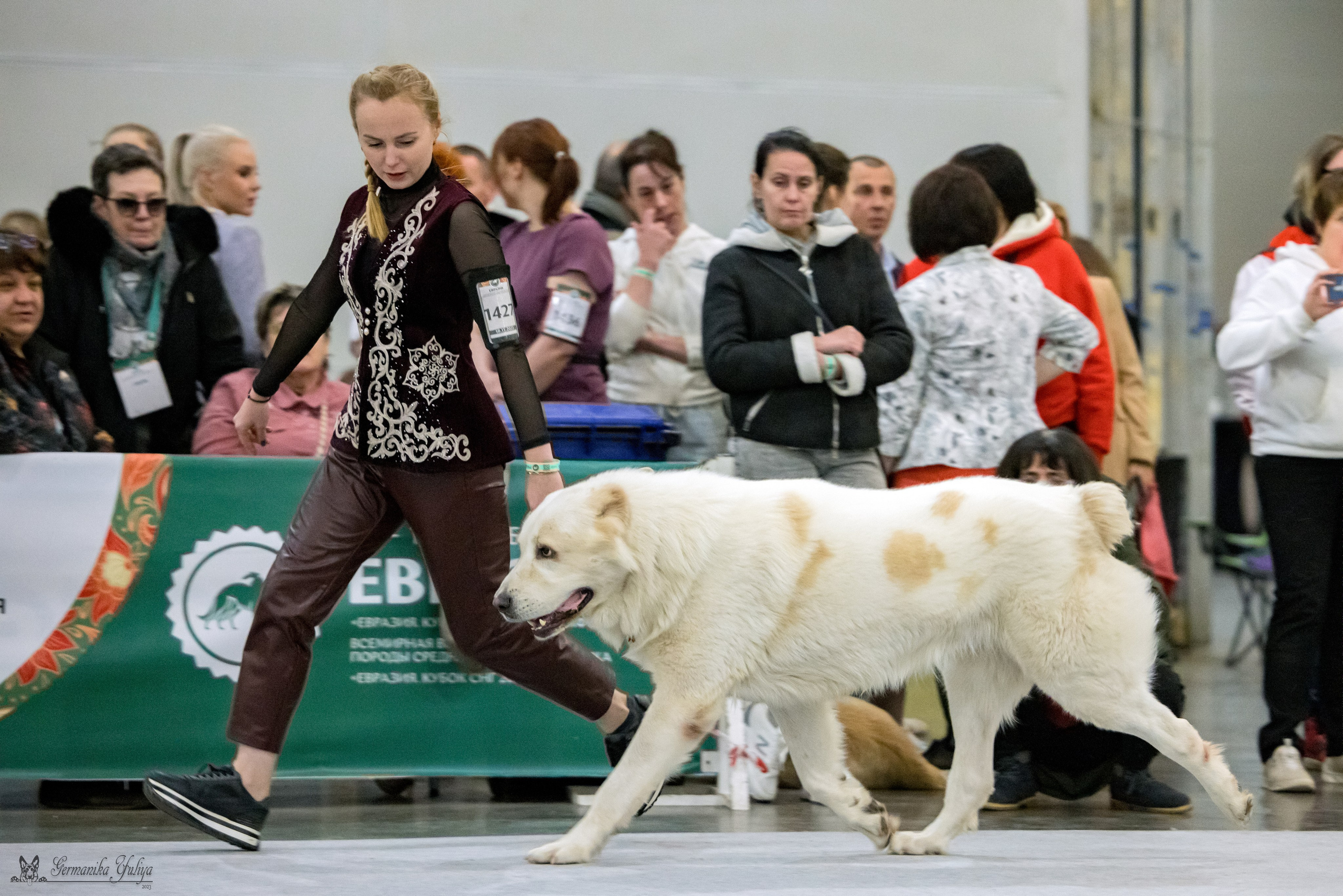 ЕВРАЗИЯ 18-19.11.2023. Фотограф-анималист Юлия Германика