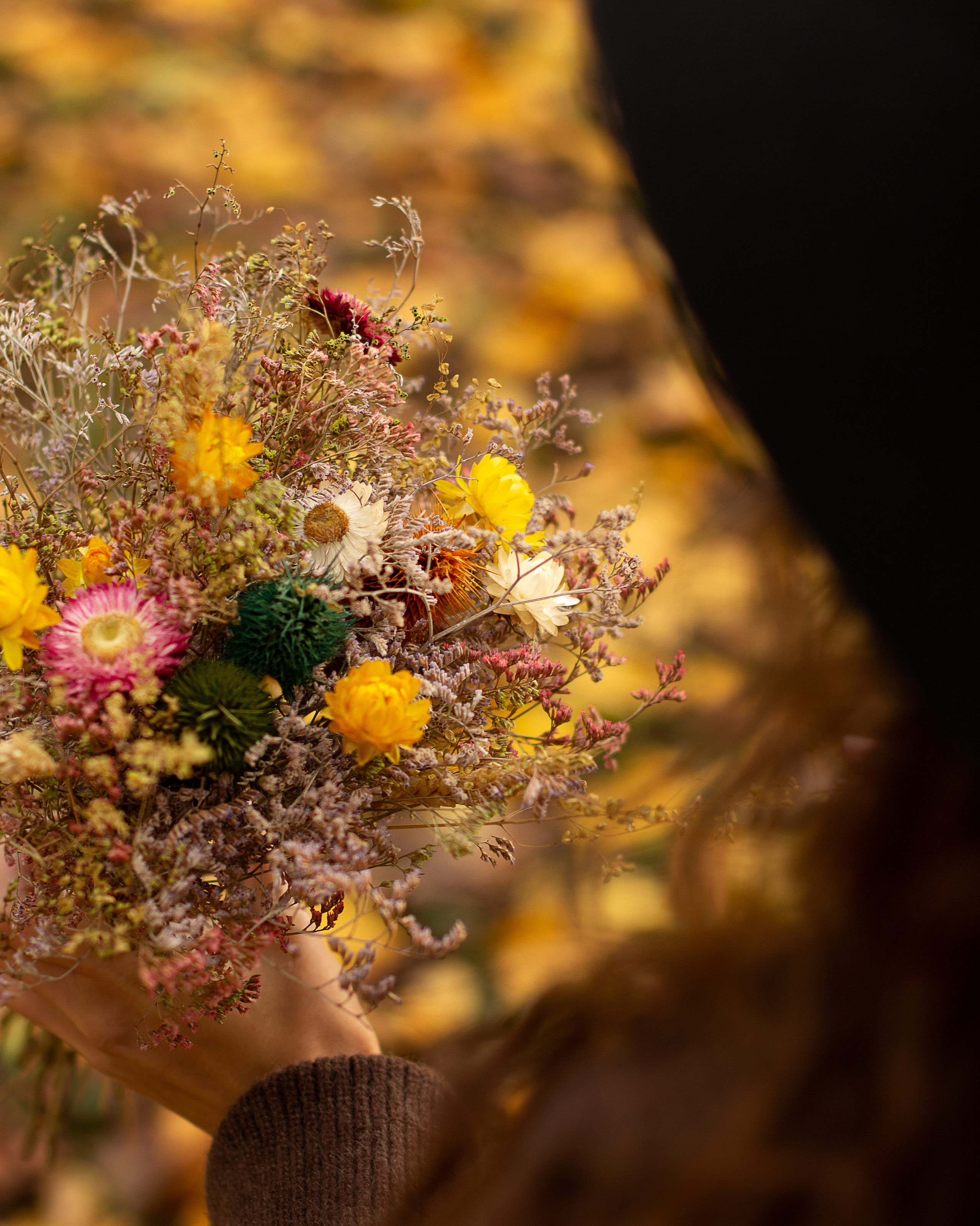 Осенний фотопроект. Фотограф в Краснодаре и Краснодарском крае