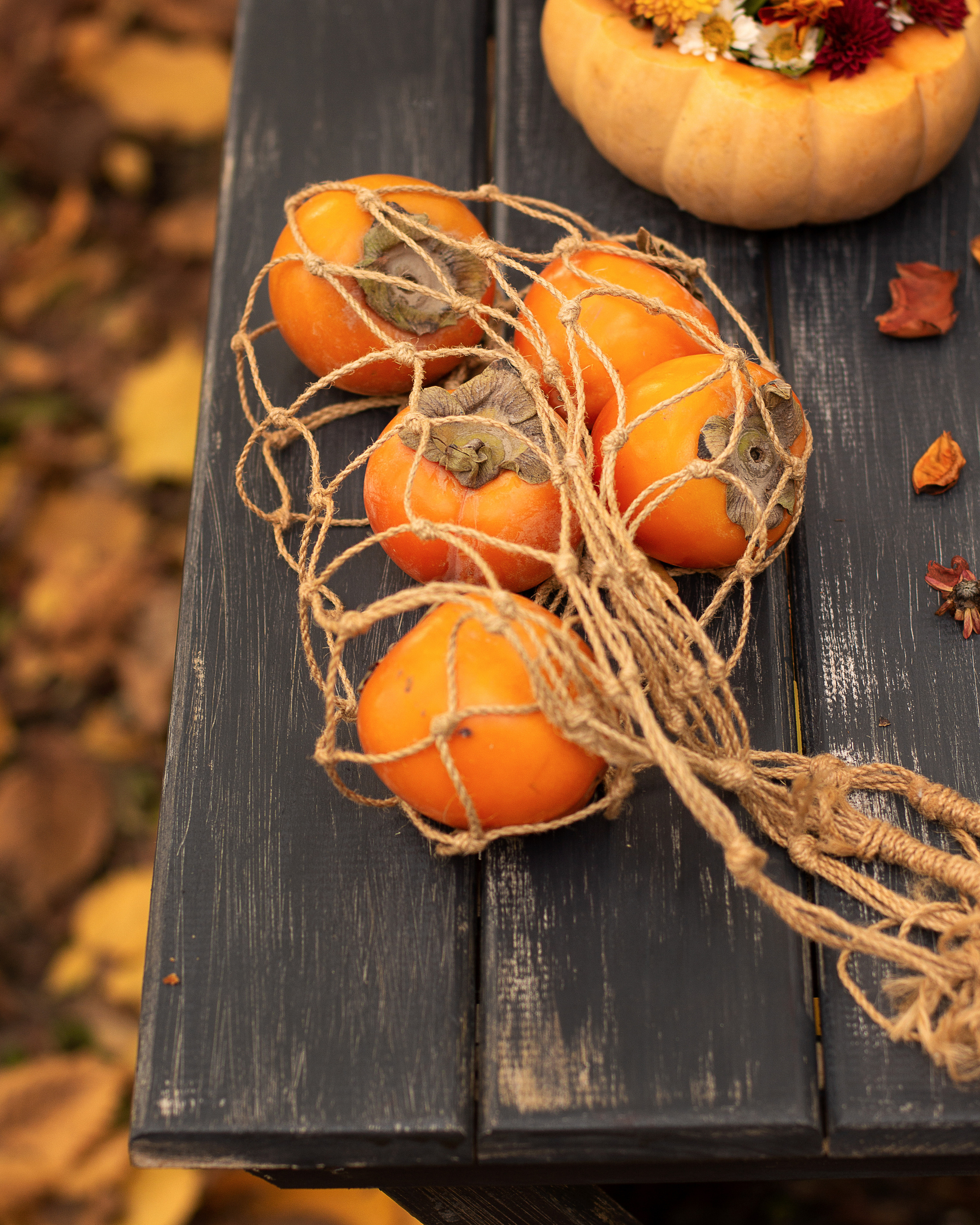 Осенний фотопроект. Фотограф в Краснодаре и Краснодарском крае