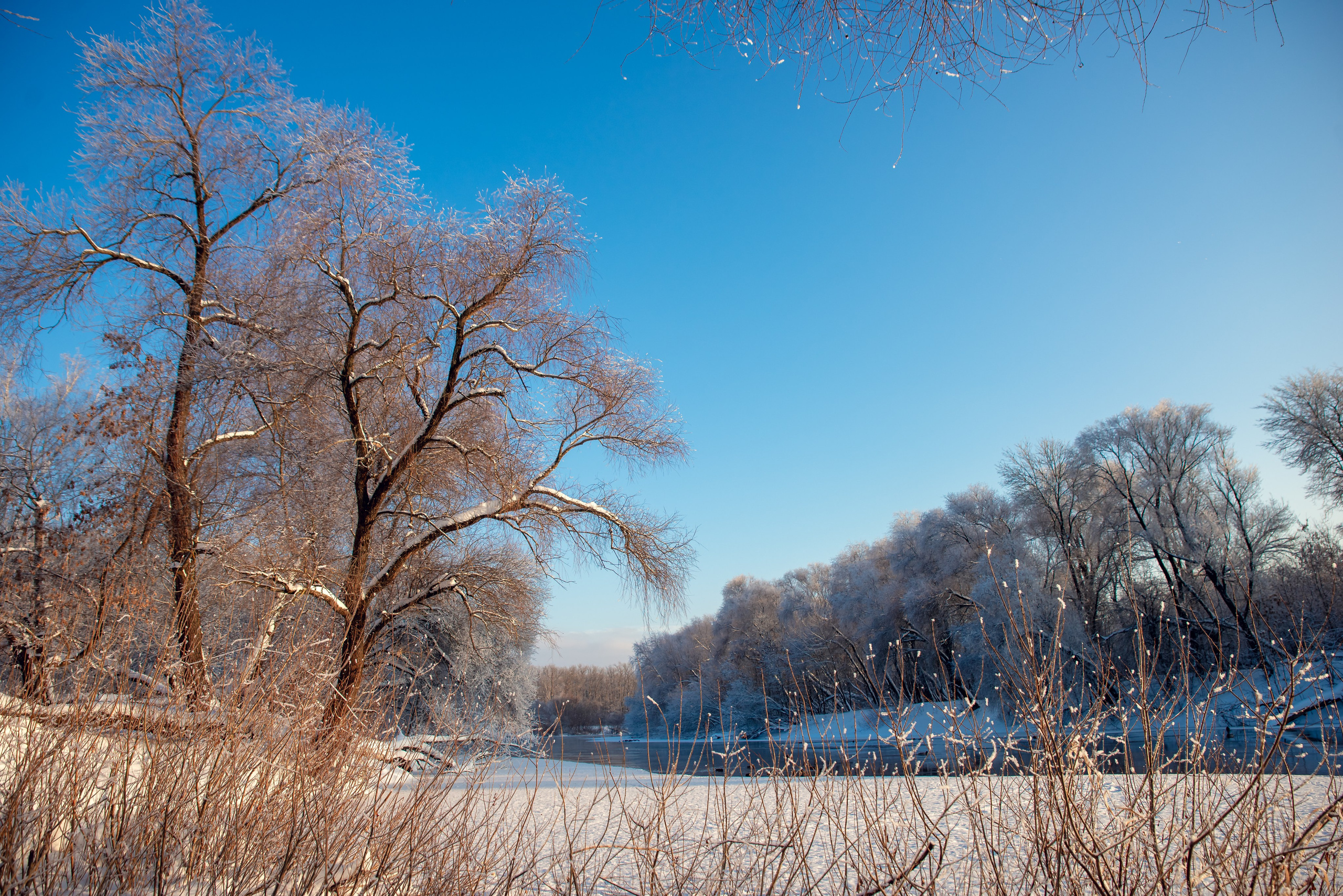 Зимушка зима. Фотограф Крещение Венчание Москва