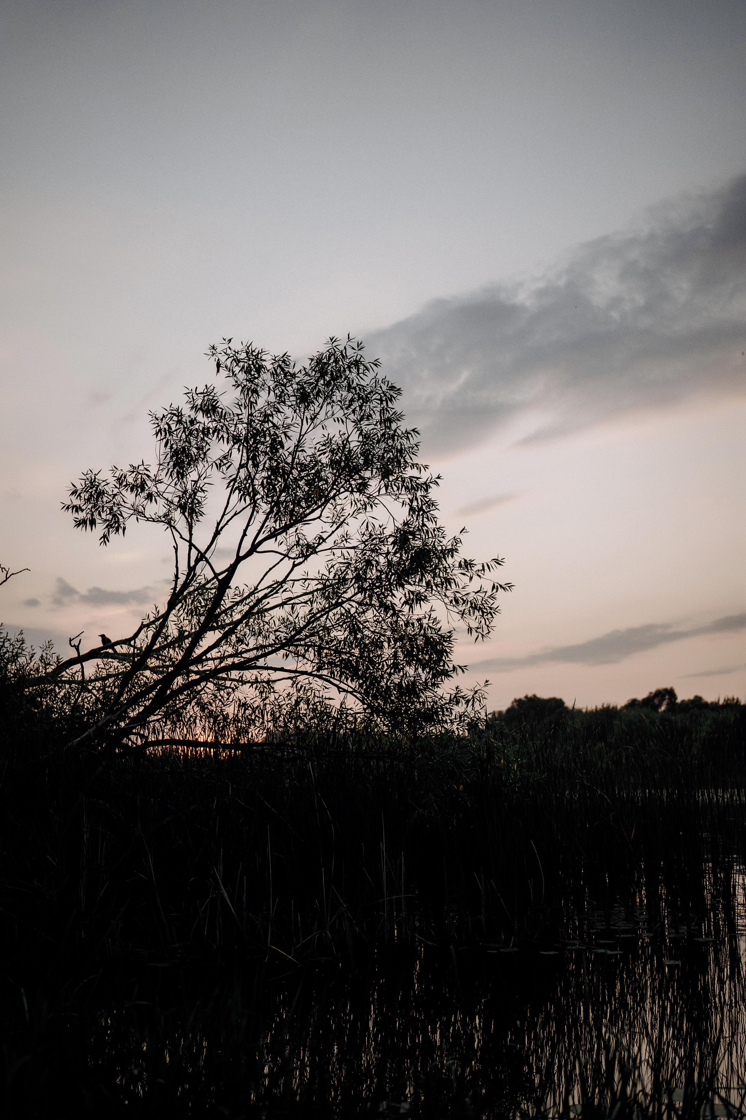 8. Свадебный фотограф Марина Бобкова в Липецке, Воронеже, Москва