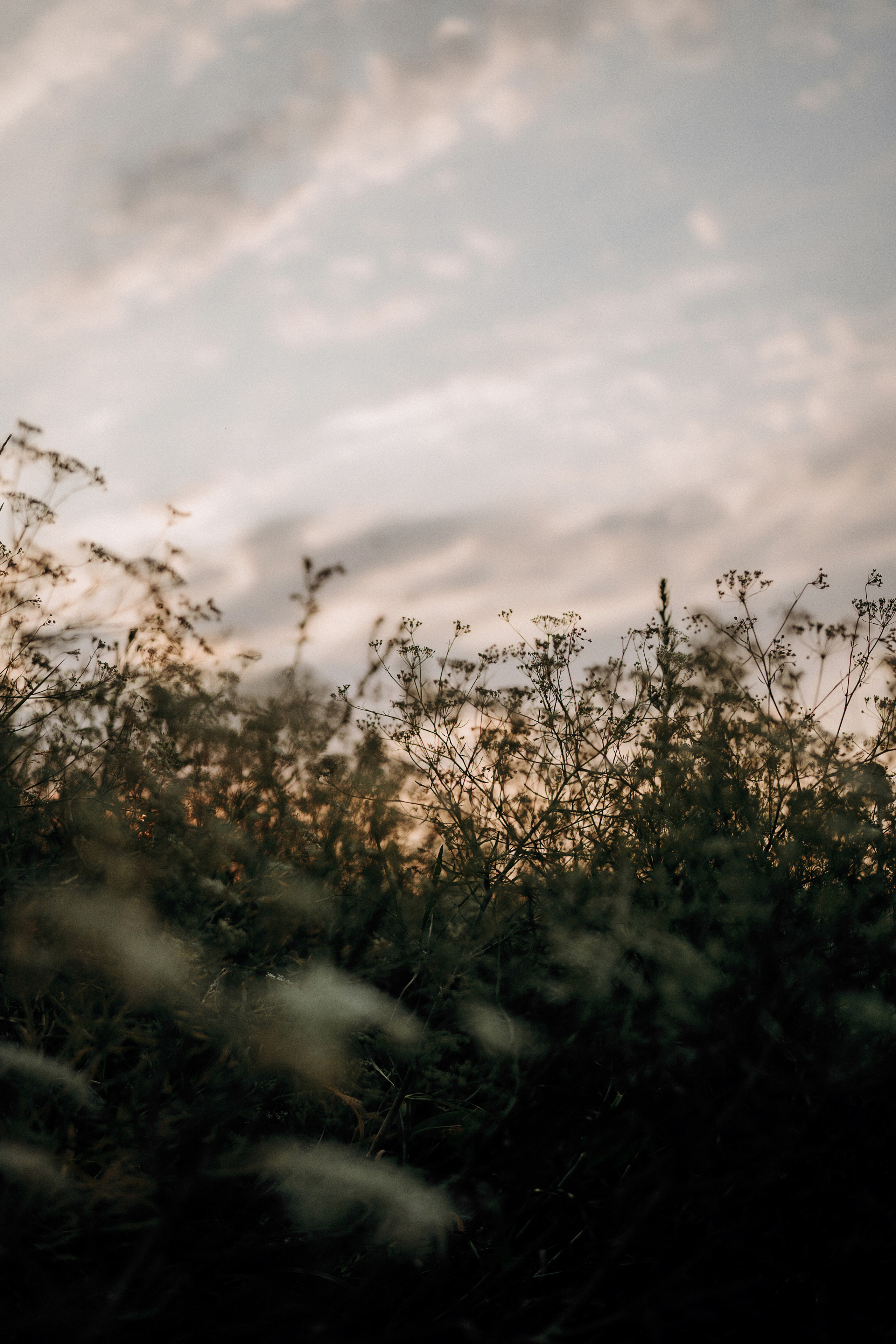 8. Свадебный фотограф Марина Бобкова в Липецке, Воронеже, Москва