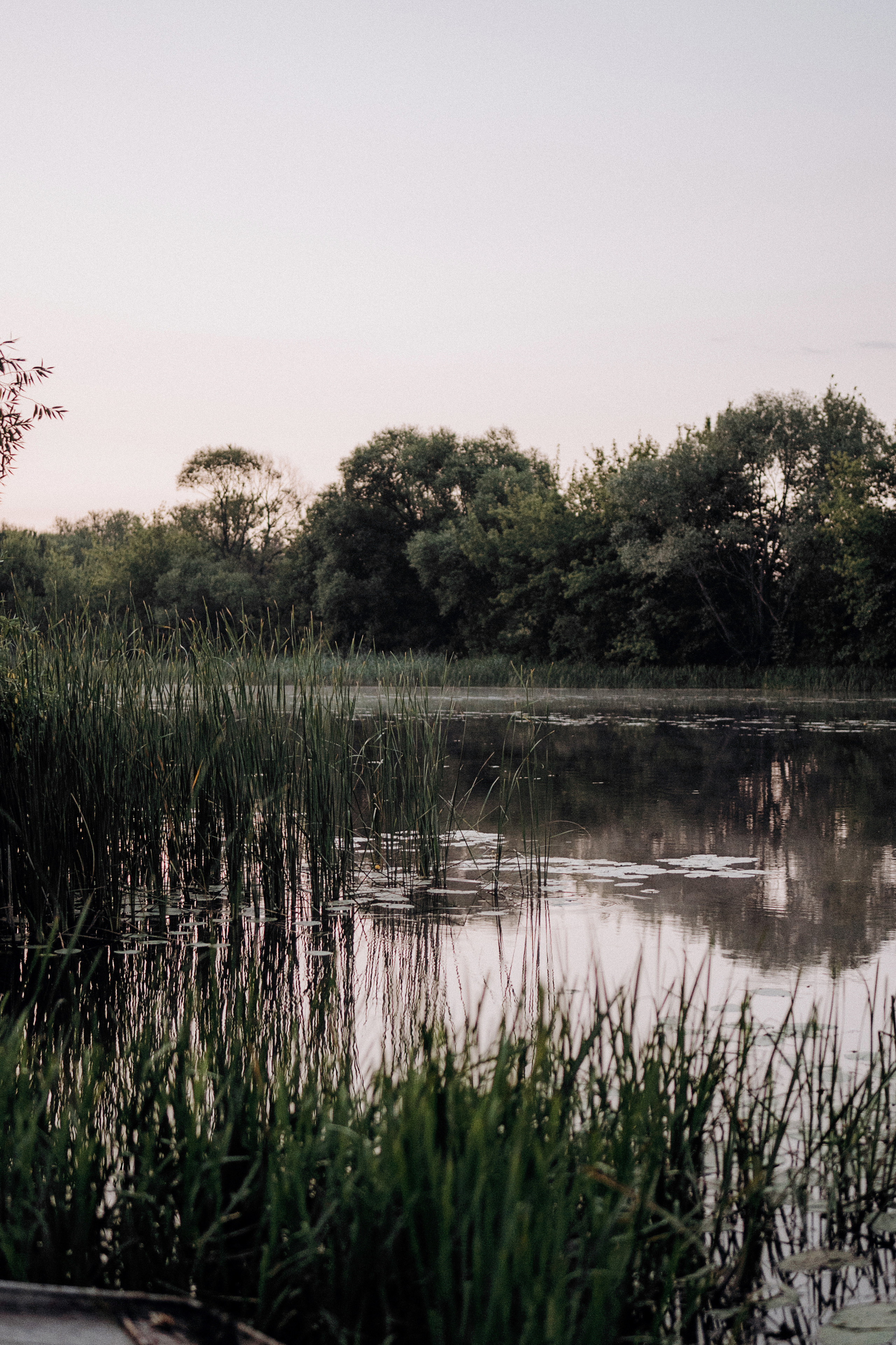 8. Свадебный фотограф Марина Бобкова в Липецке, Воронеже, Москва
