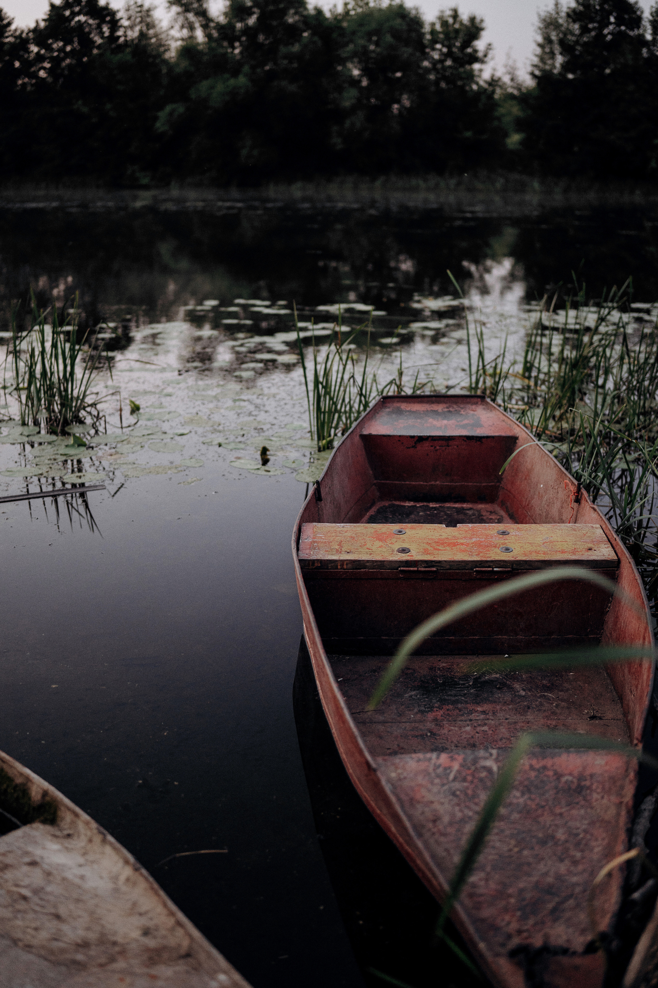 8. Свадебный фотограф Марина Бобкова в Липецке, Воронеже, Москва