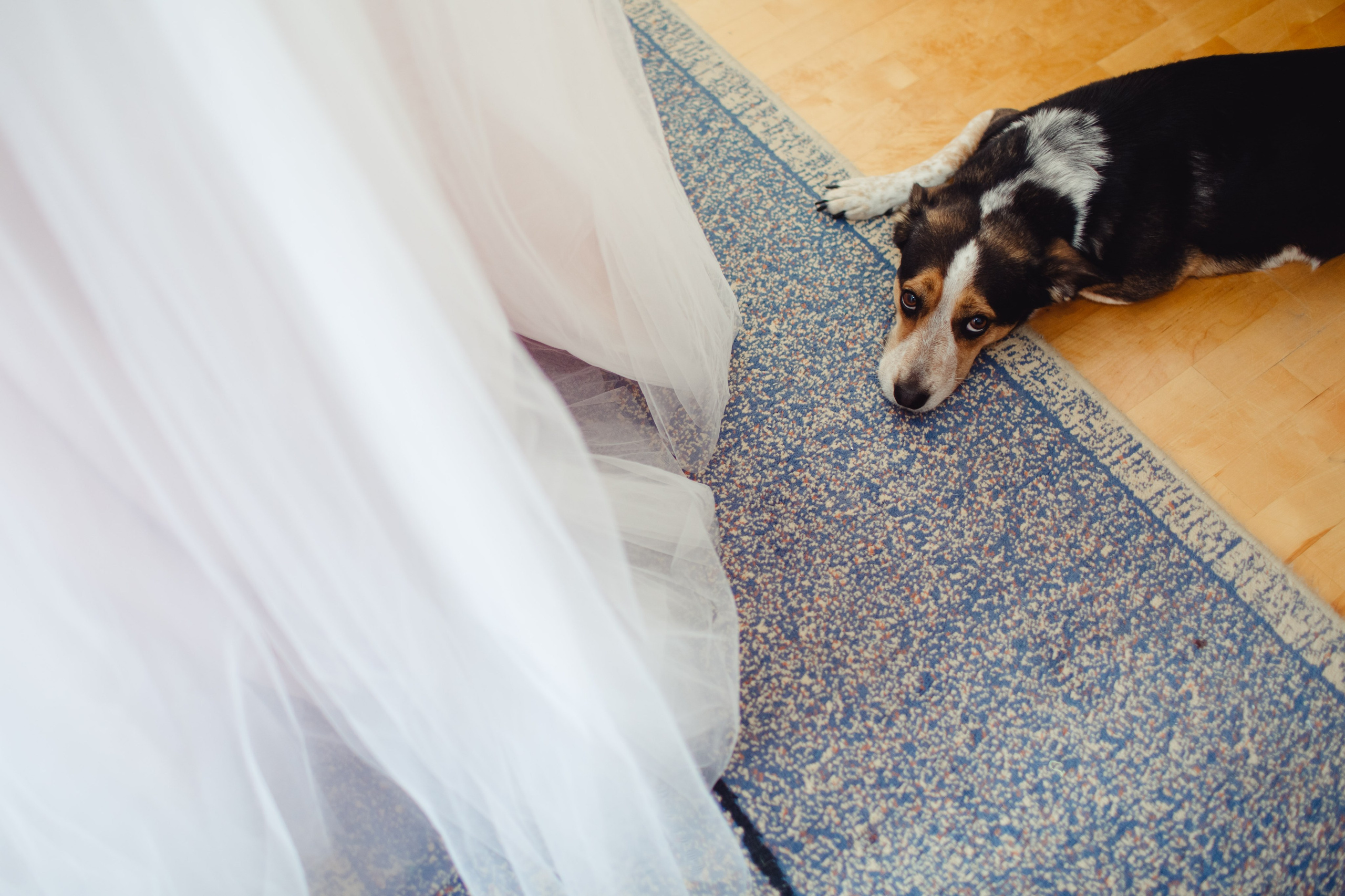 Олеся и Максим. Свадебный фотограф в Москве Екатерина Огарская