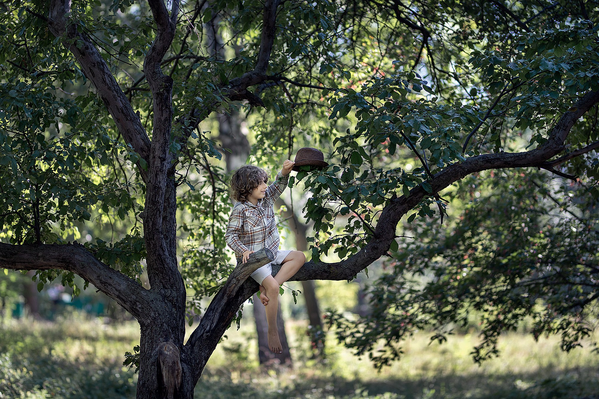 Лев. Фотограф Александр Солнечный