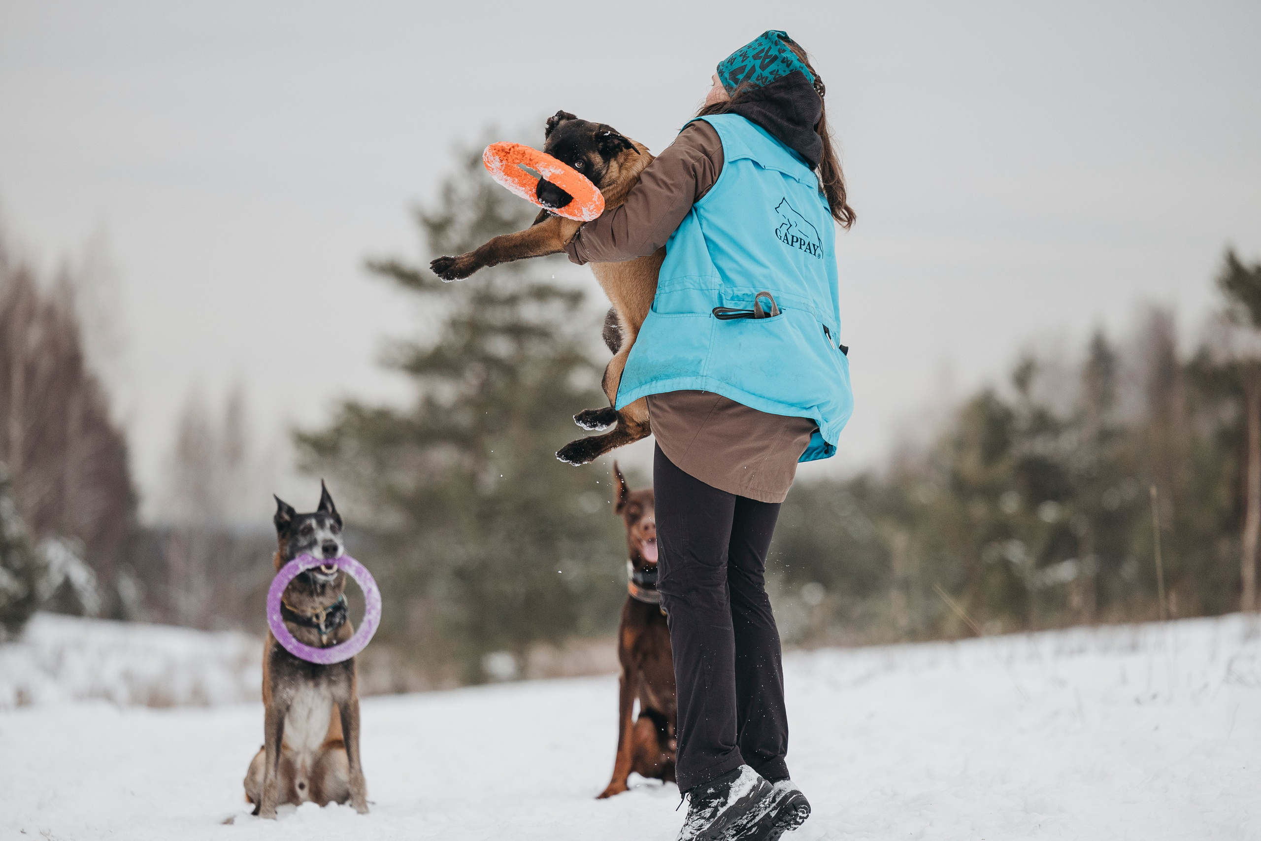 Даша, Омен, Айс и Рицу. Фотограф-анималист Анна Маринич
